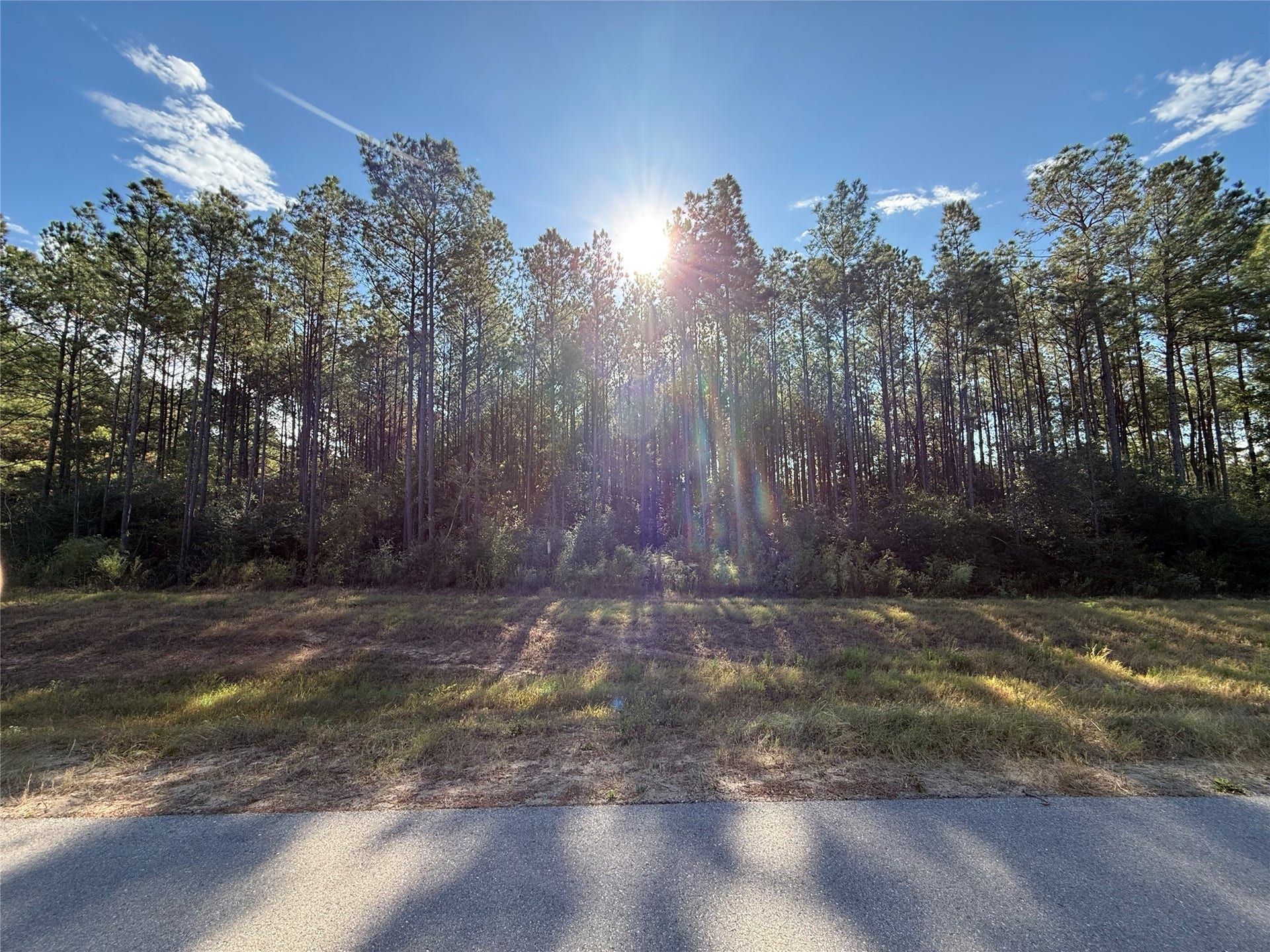 15895 Ridge Oak Road, Willis, TX 77378