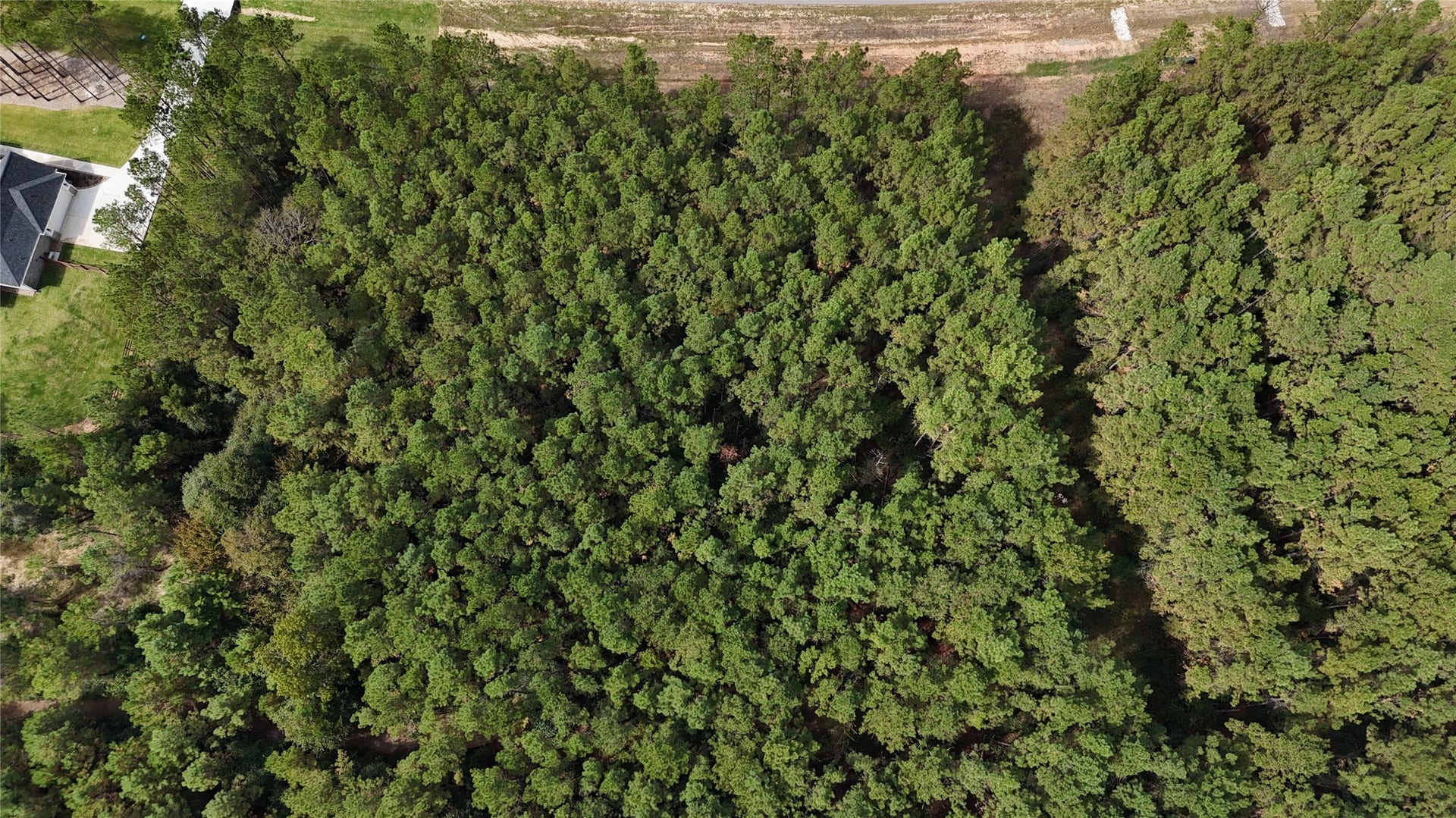 15895 Ridge Oak Road, Willis, TX 77378