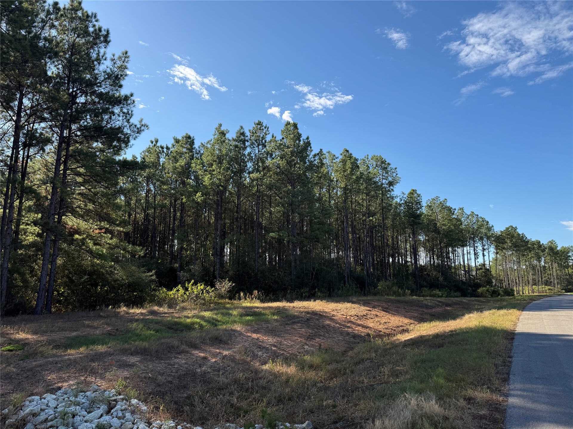 15895 Ridge Oak Road, Willis, TX 77378