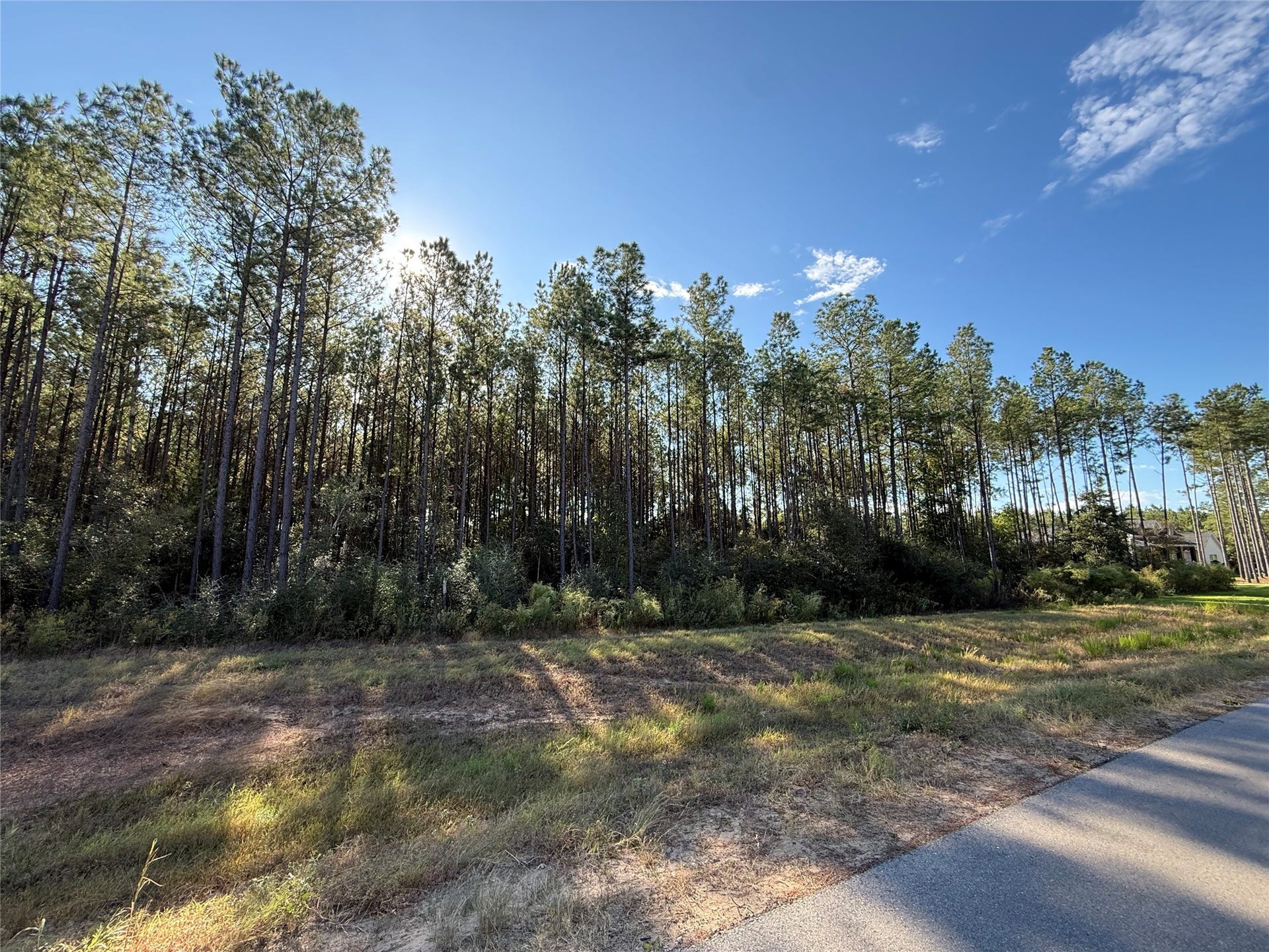 15895 Ridge Oak Road, Willis, TX 77378