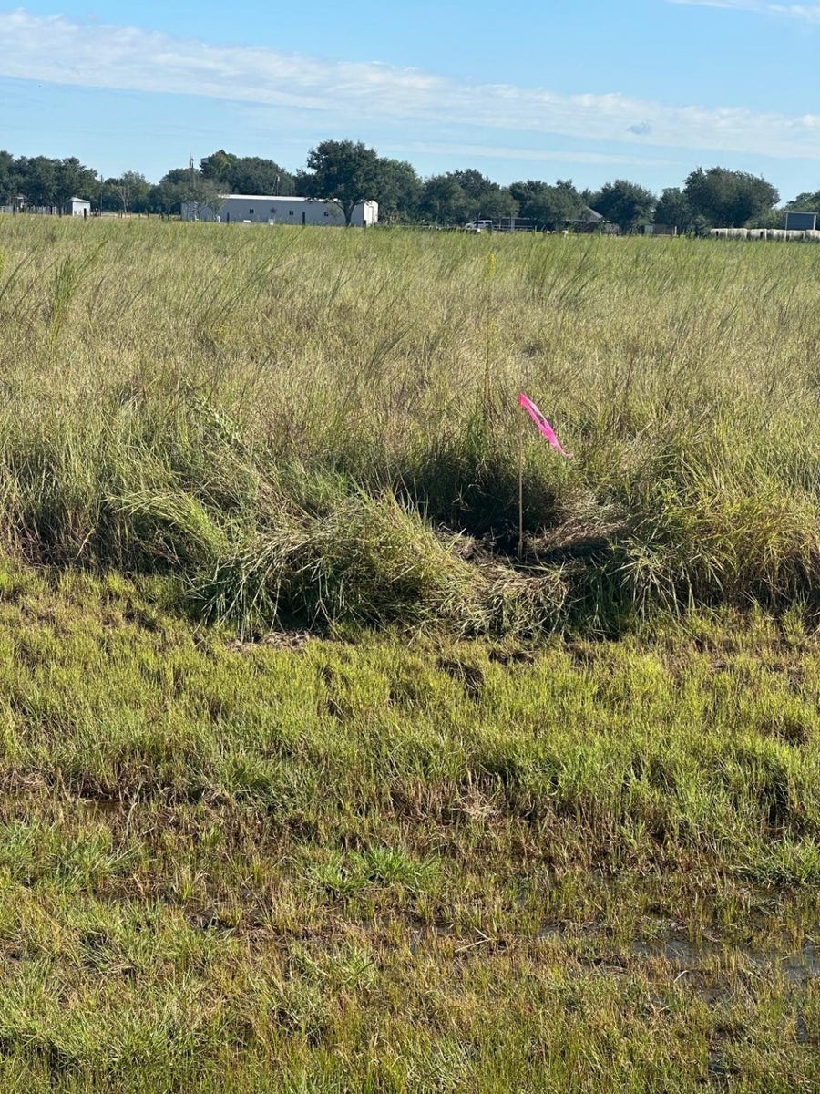 Property photo for 0 HIGHWAY 36 S Expressway S, Guy, TX