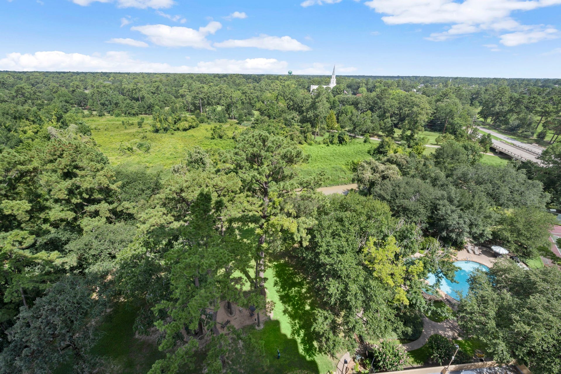 14655 Champion Forest Drive, #1201, Houston, TX 77069 NO CONCRETE JUNGLE HERE! From the 12th floor, your view opens to a sweeping canopy of mature trees, blue skies and miles of green instead of neighboring high-rises. Spot the picturesque church steeple in the distance and enjoy a surprisingly peaceful perspective from the heart of Championshigh-rise living with a view that actually lets you breathe.