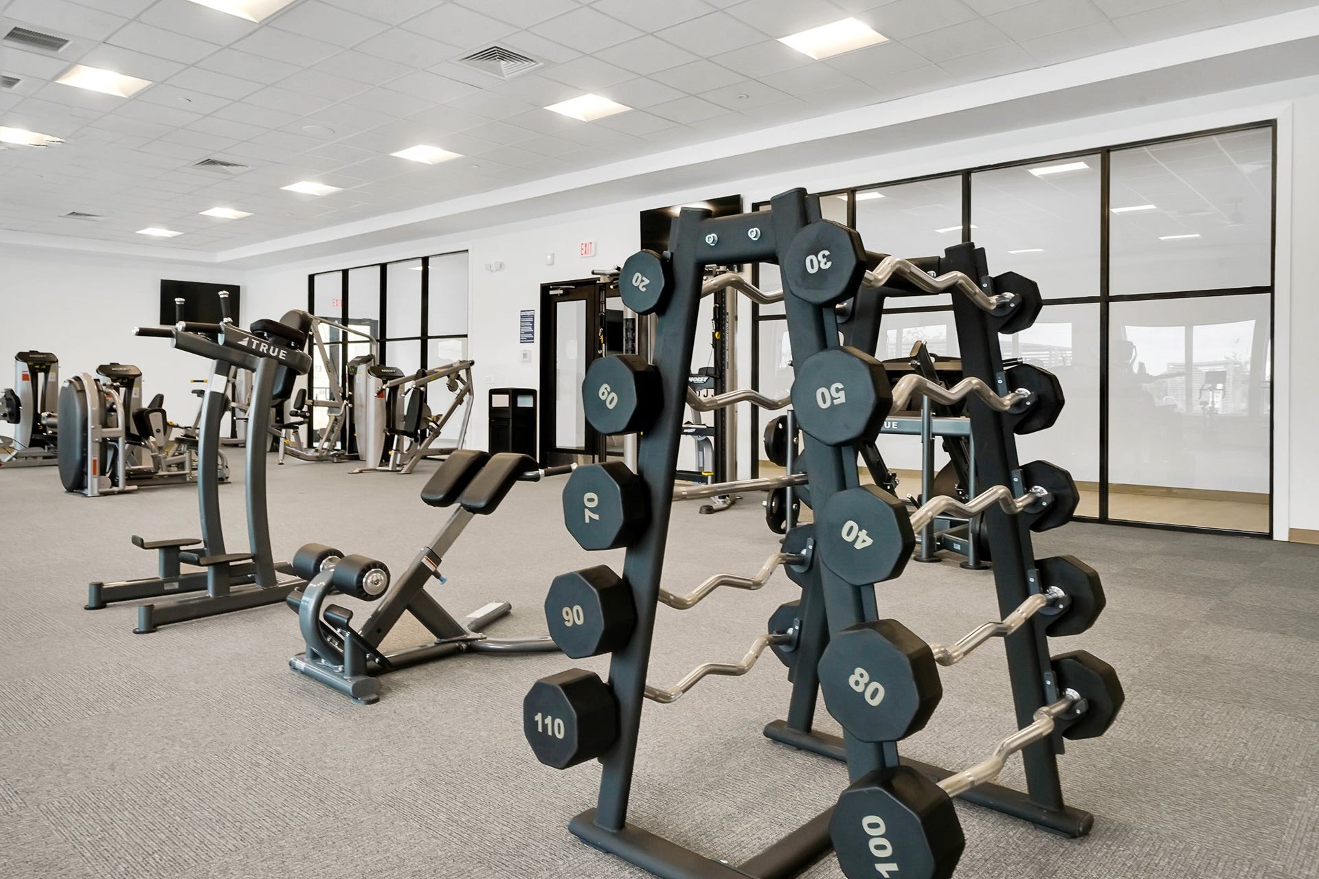 31503 Primrose Falls Drive, Fulshear, TX 77441 Tamarron West Amenity Center Gym