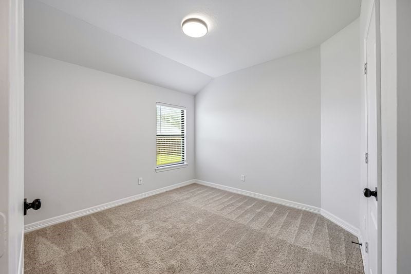 10006 Ocelot Court, Magnolia, TX 77354