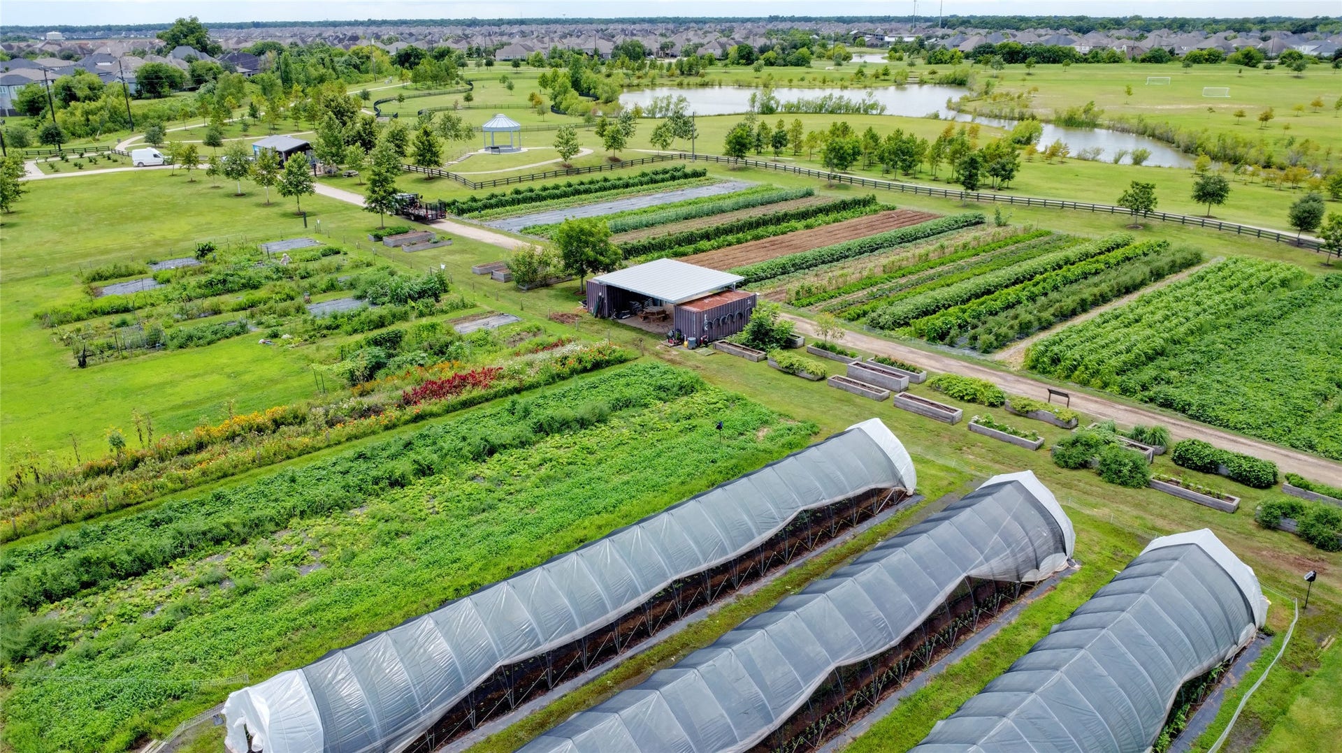 3423 Tranquil Harvest Trail, Richmond, TX 77406 Aerial view of the community garden with multiple cultivated garden plots, raised beds, covered growing areas, and nearby ponds and green space.