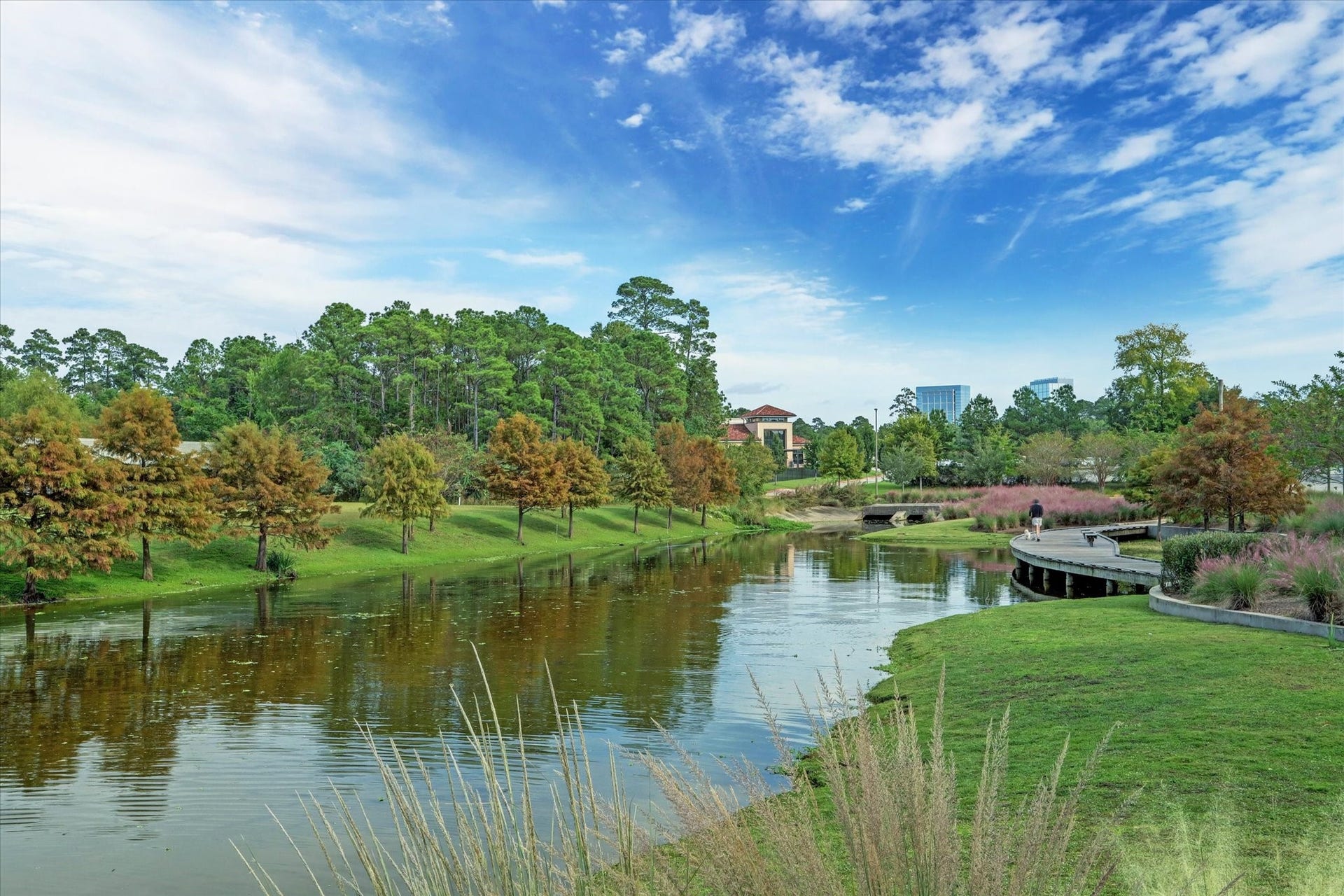 50 Leafstalk Court, The Woodlands, TX 77382 50 Leafstalk Court, The Woodlands, TX 77382