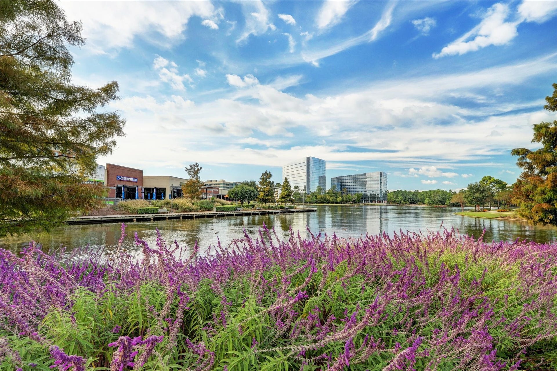 50 Leafstalk Court, The Woodlands, TX 77382 50 Leafstalk Court, The Woodlands, TX 77382