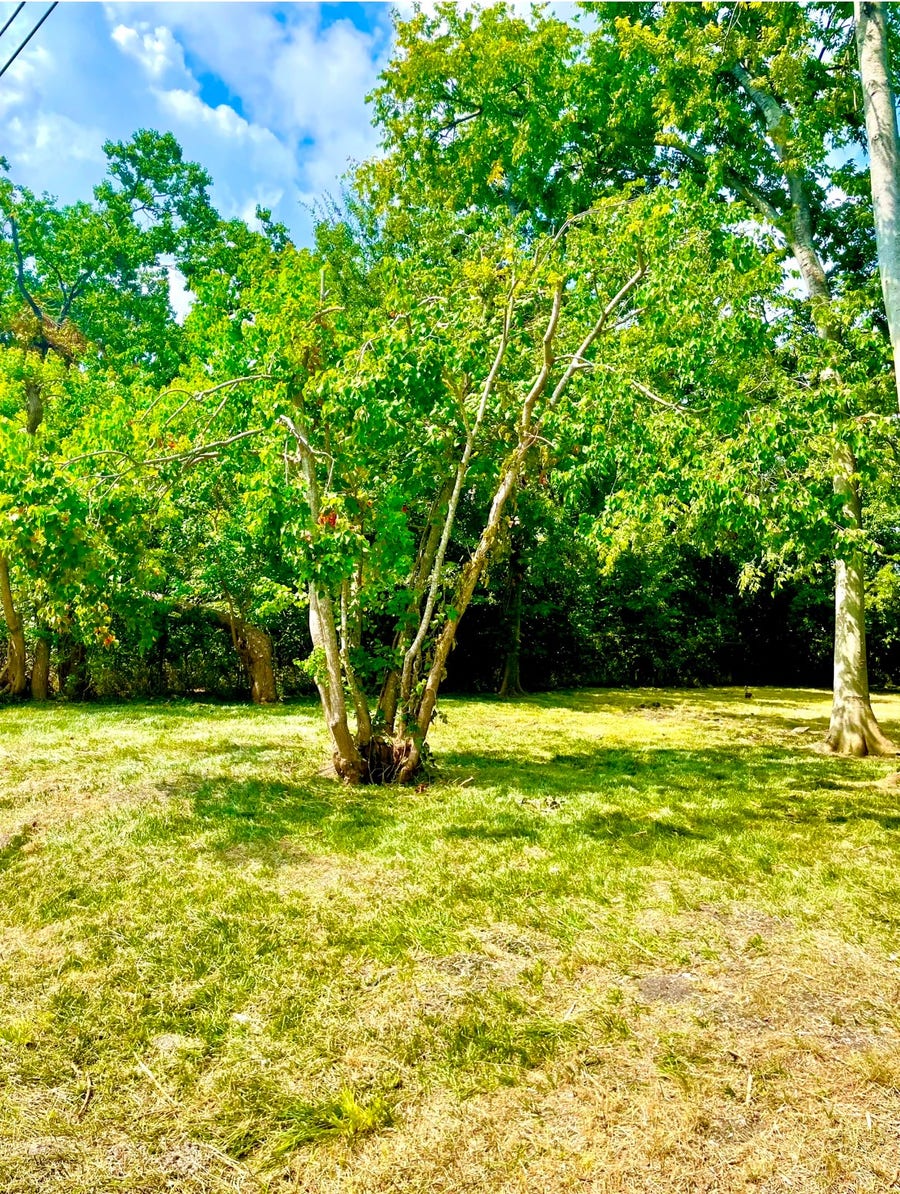 Property photo for 3415 Hewrick Street, Houston, TX