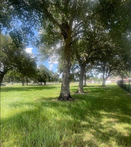 3747 Country Road 962, Alvin, TX 77511 Back Right Corner of lot looking to front left corner of lot by main roadway.