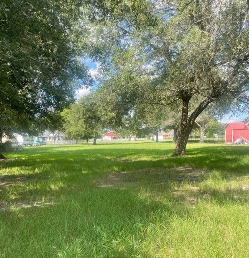 3747 Country Road 962, Alvin, TX 77511 Back Fenceline looking towards main road