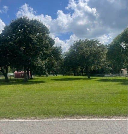 3747 Country Road 962, Alvin, TX 77511 From the Road to the back of the Lot