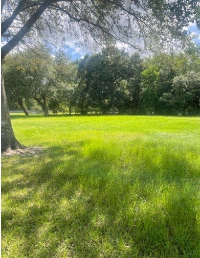 3747 Country Road 962, Alvin, TX 77511 Middle of Lot to back right corner looking from main roadway to back fenceline