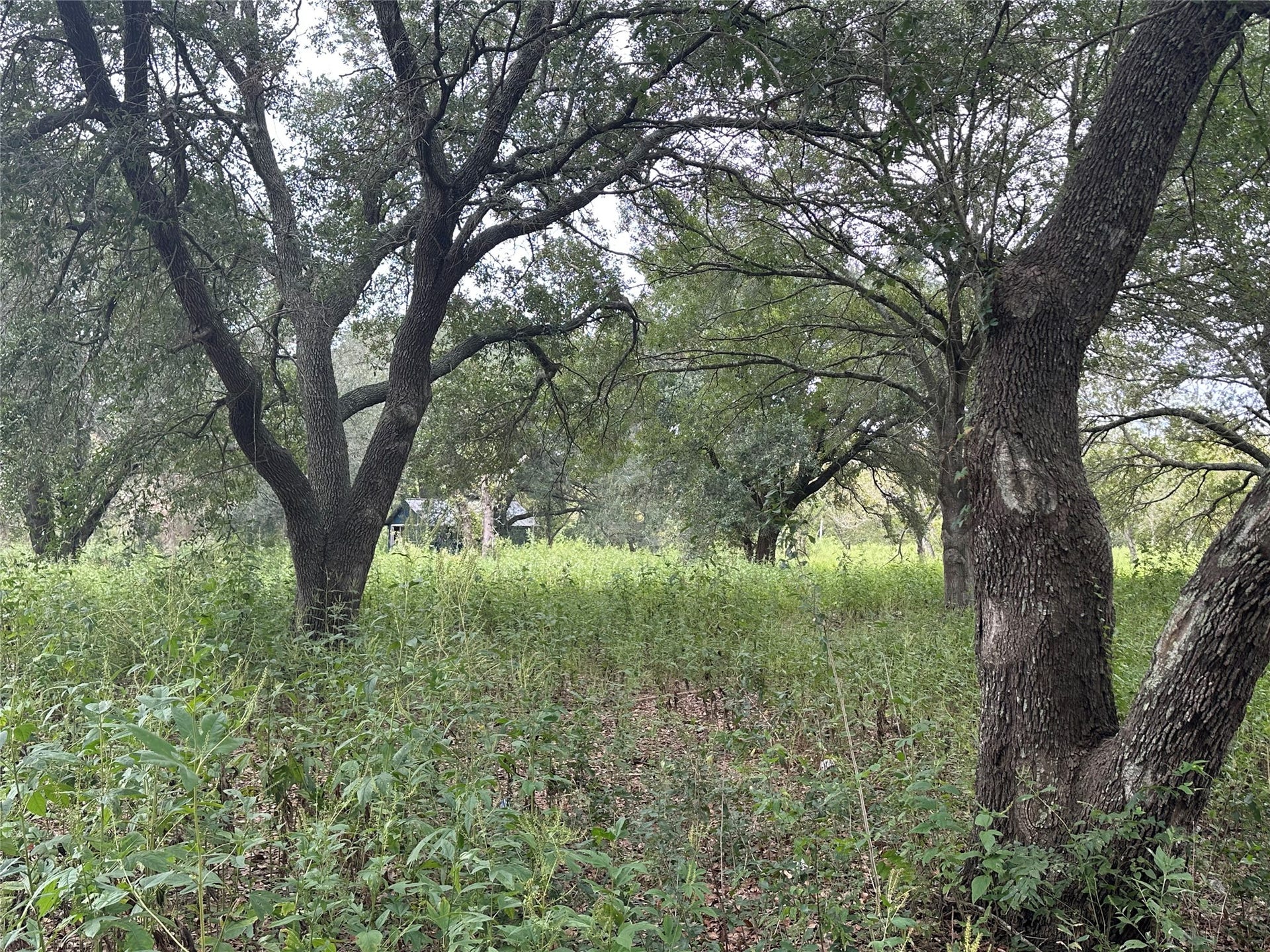 415 Crabb River Road, Richmond, TX 77469 415 Crabb River Road, Richmond, TX 77469