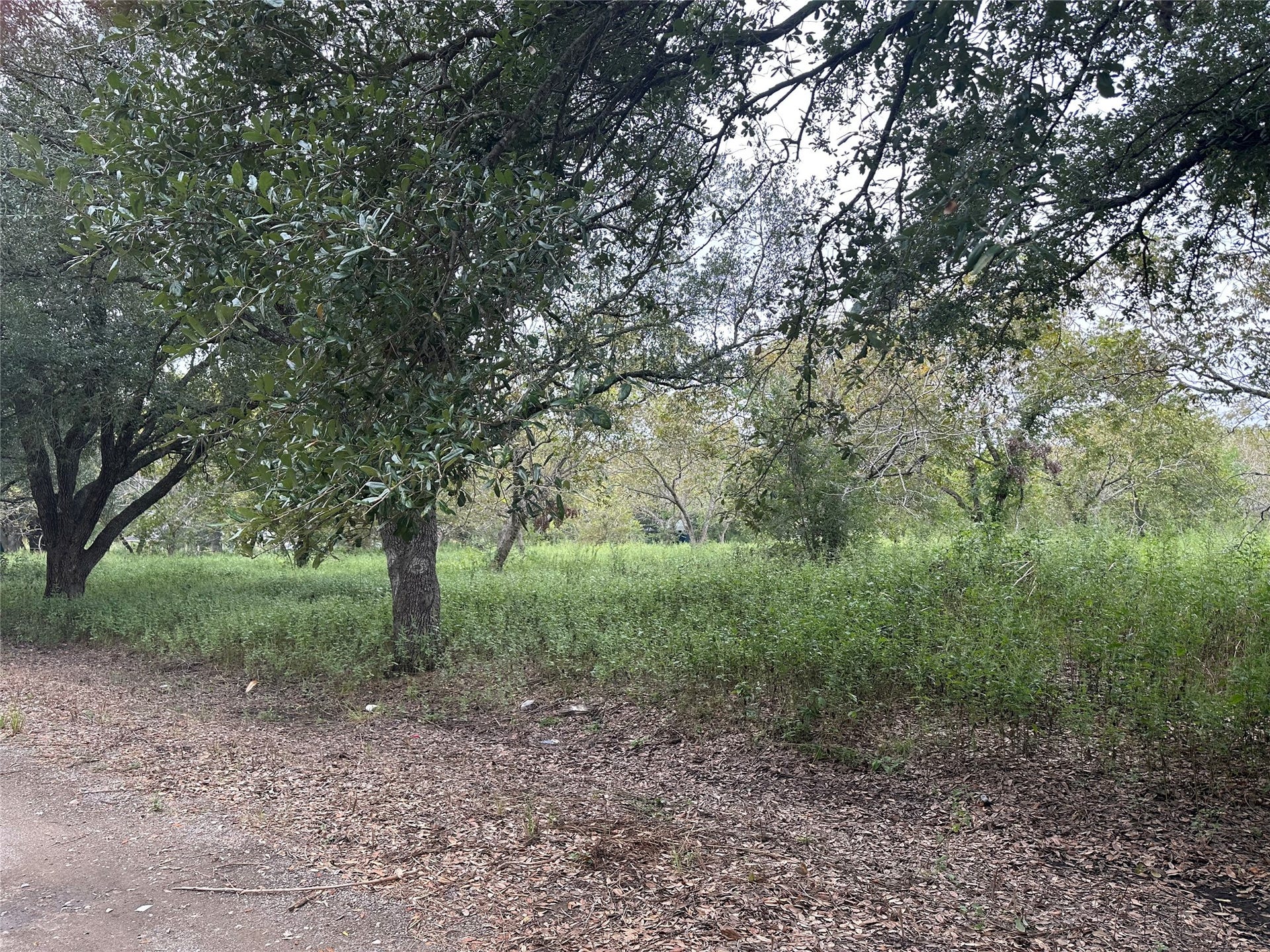 415 Crabb River Road, Richmond, TX 77469 415 Crabb River Road, Richmond, TX 77469