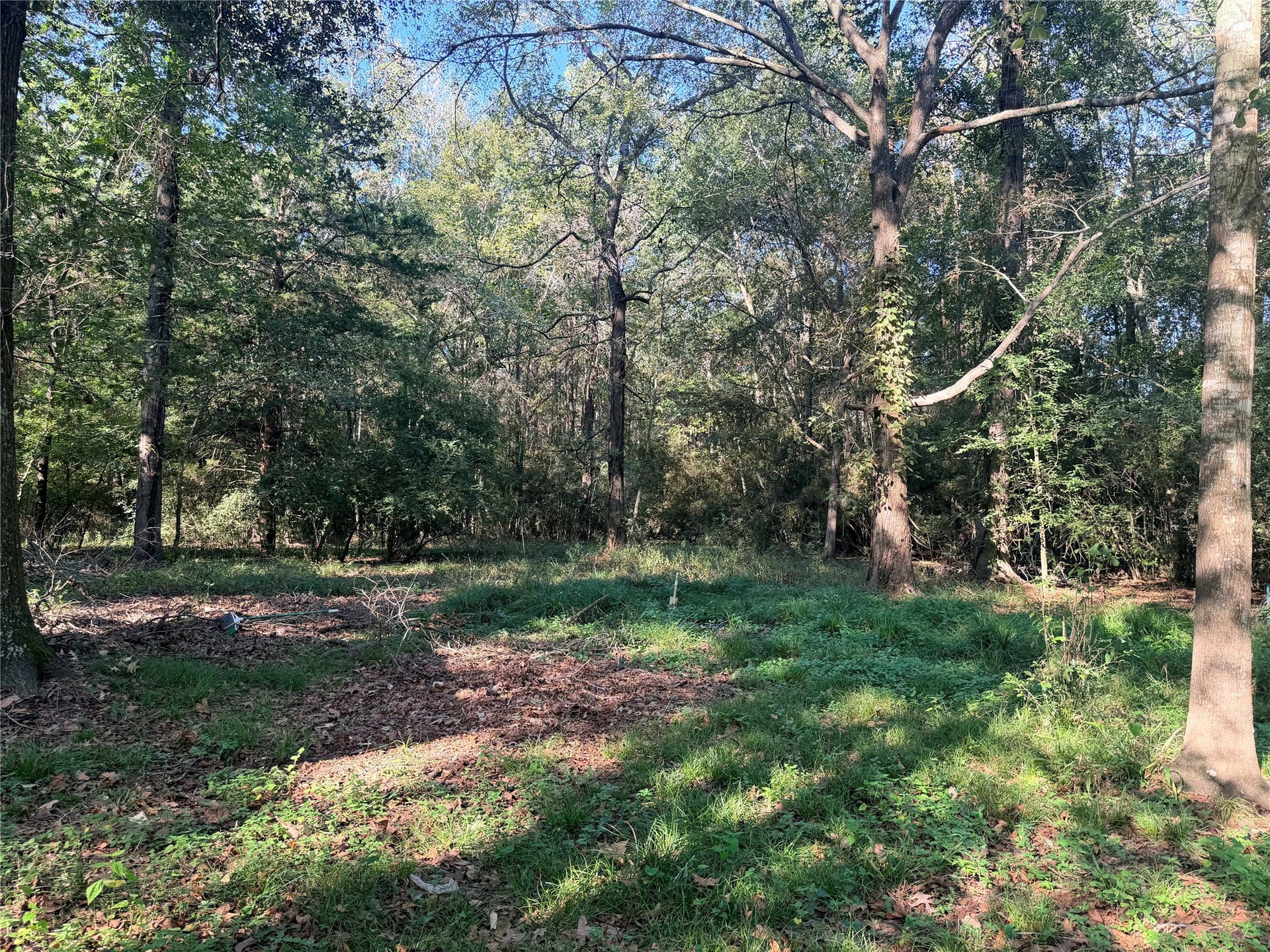 900 Mohawk Drive, #4, Montgomery, TX 77316 900 Mohawk Drive, #4, Montgomery, TX 77316