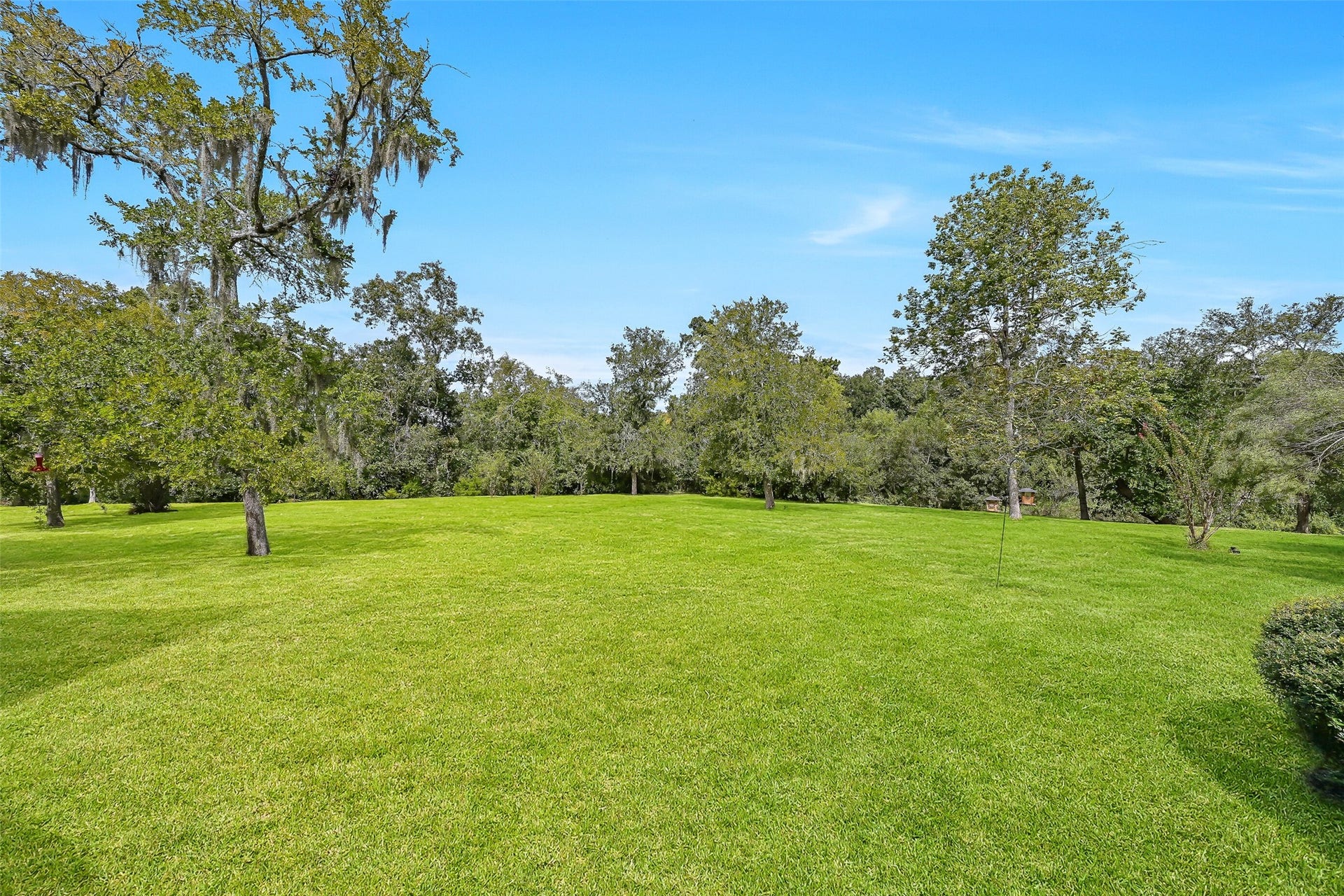 300 Courtlandt Place, Friendswood, TX 77546 A sweeping view of the backyard showcases the remarkable amount of open grassy space surrounding this secluded home. Towering mature trees frame the property, while the expansive rear deck provides an inviting place to enjoy the views & outdoor activities throughout the year.