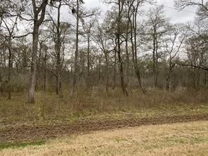 Property photo for 15530 Tierra Grande Drive, Needville, TX