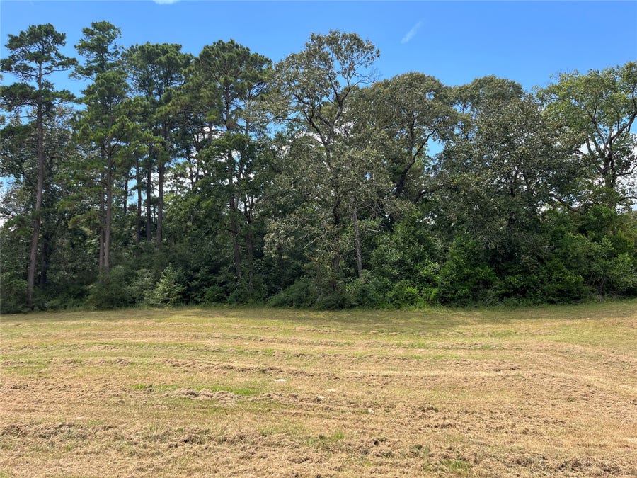 Property photo for 12147 Mustang Avenue, Willis, TX
