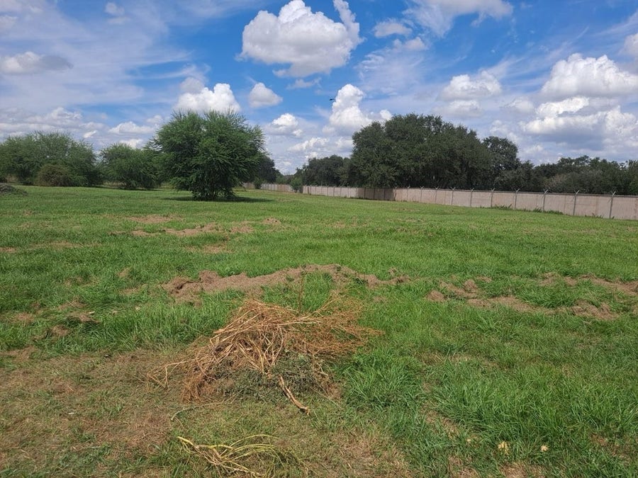 Property photo for 7802 Old Yeller Road, Needville, TX