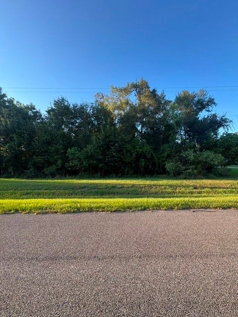 Property photo for 1039 W Point Drive, Rosharon, TX