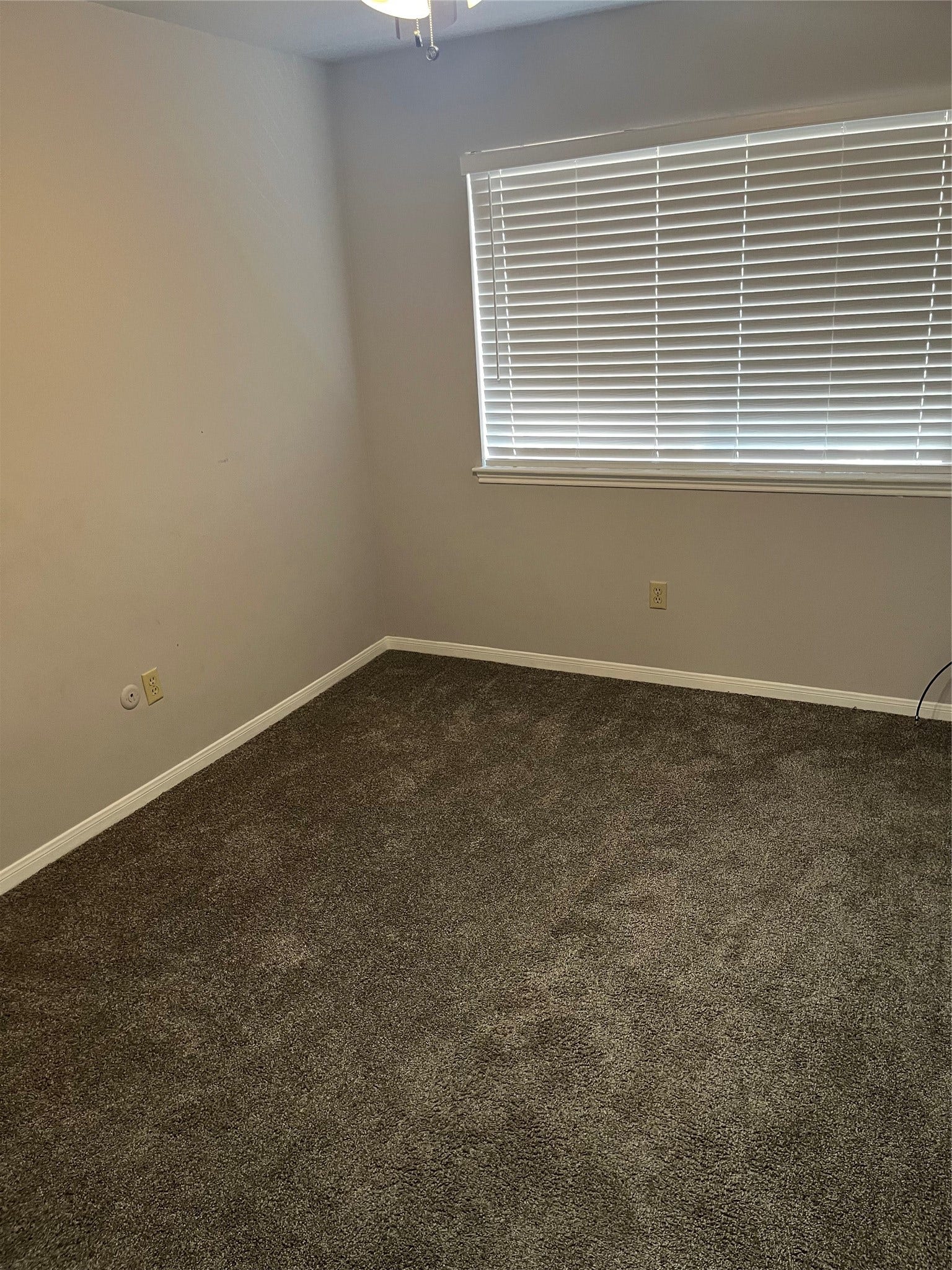 8011 Fresno Drive, Houston, TX 77083 2nd Bedroom