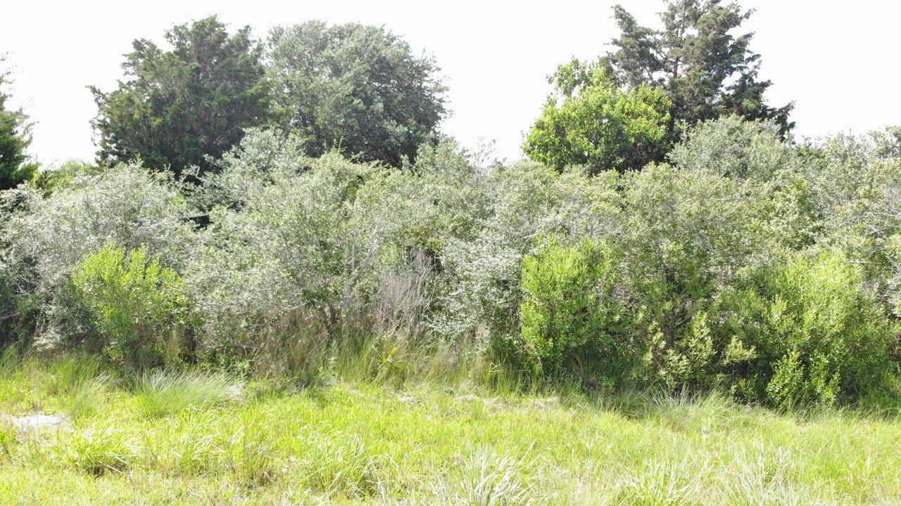 O Schlitz, Hitchcock, TX 77563 O Schlitz, Hitchcock, TX 77563