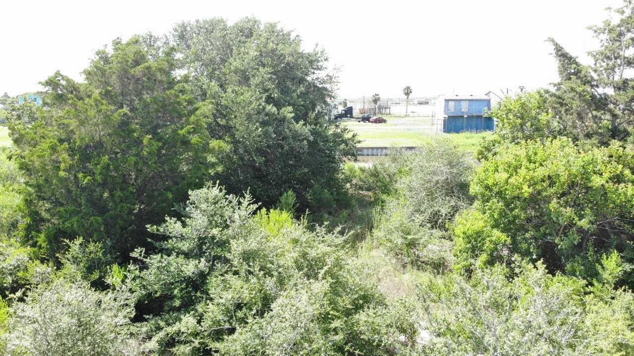 O Schlitz, Hitchcock, TX 77563 O Schlitz, Hitchcock, TX 77563