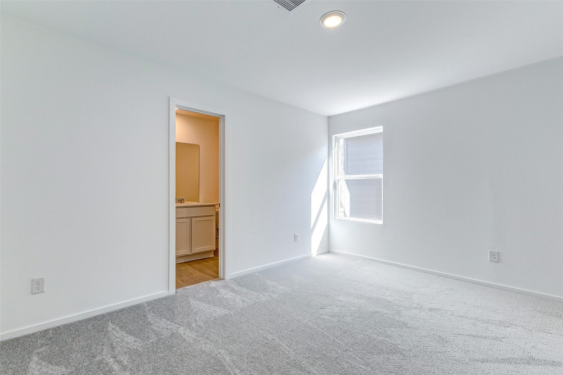 21281 Carosella Drive, New Caney, TX 77357