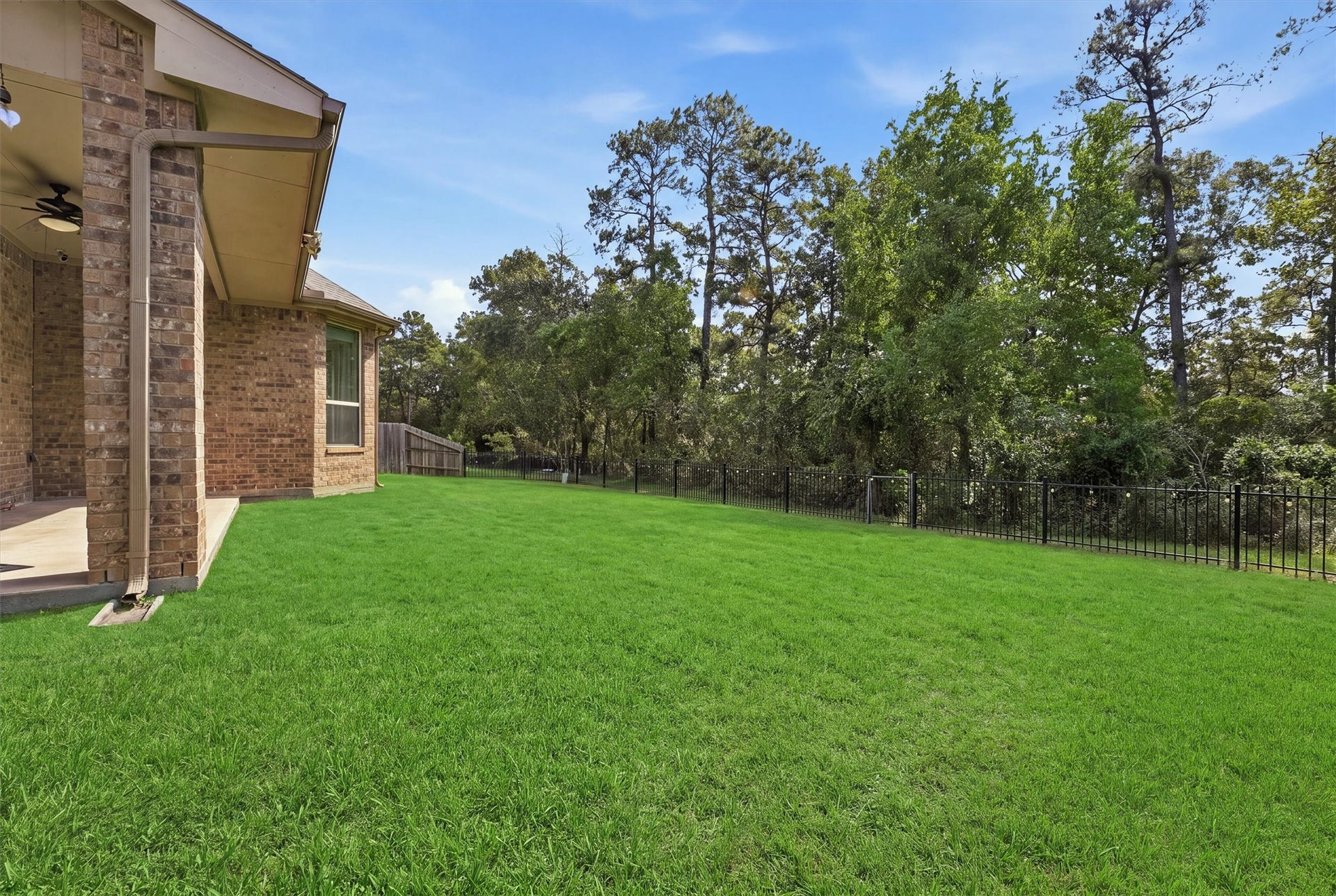 13920 N Lake Branch Lane, Houston, TX 77044 NO back neighbors - enjoy your private back yard with stunning views of the greenbelt