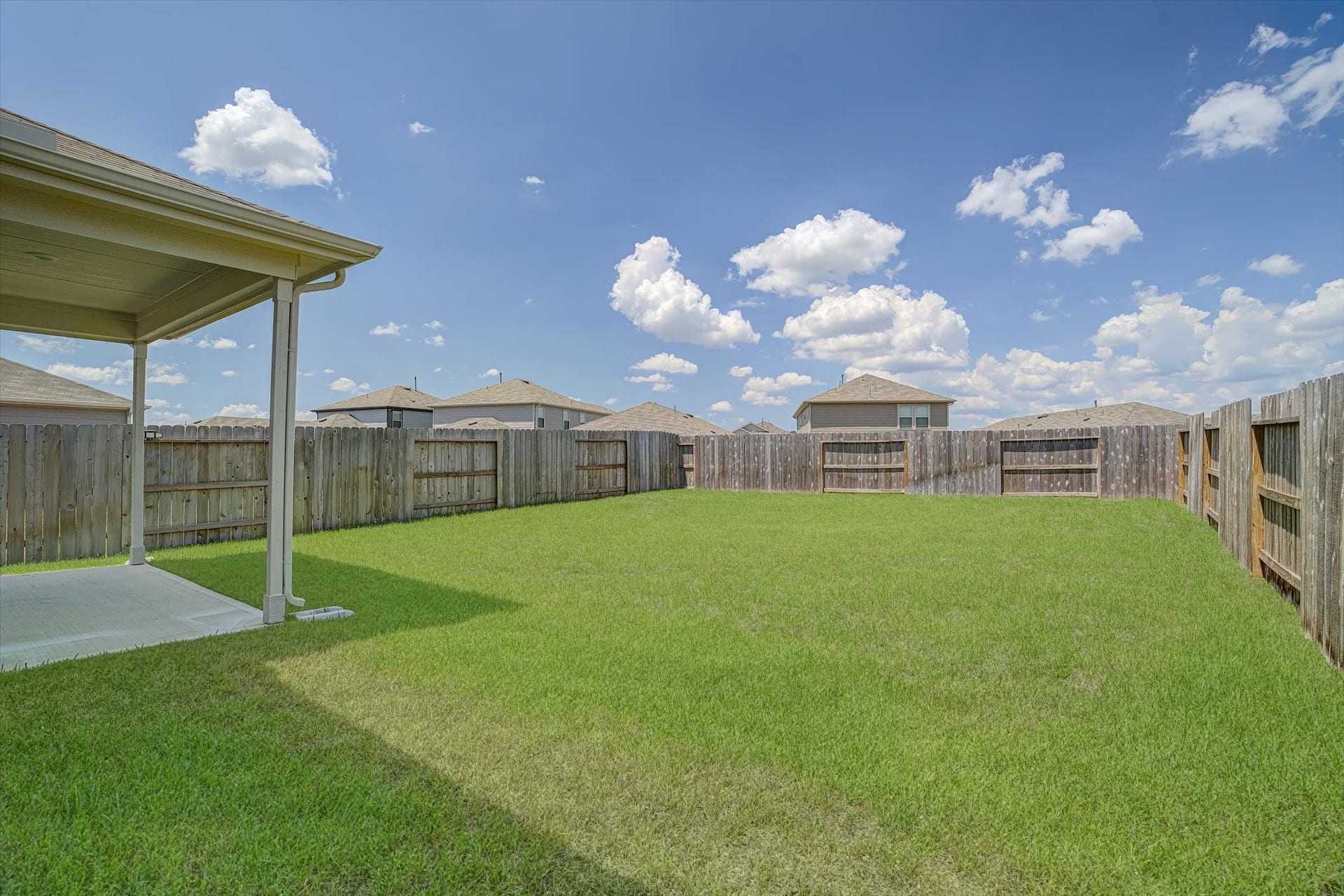 One last look at the back yard!