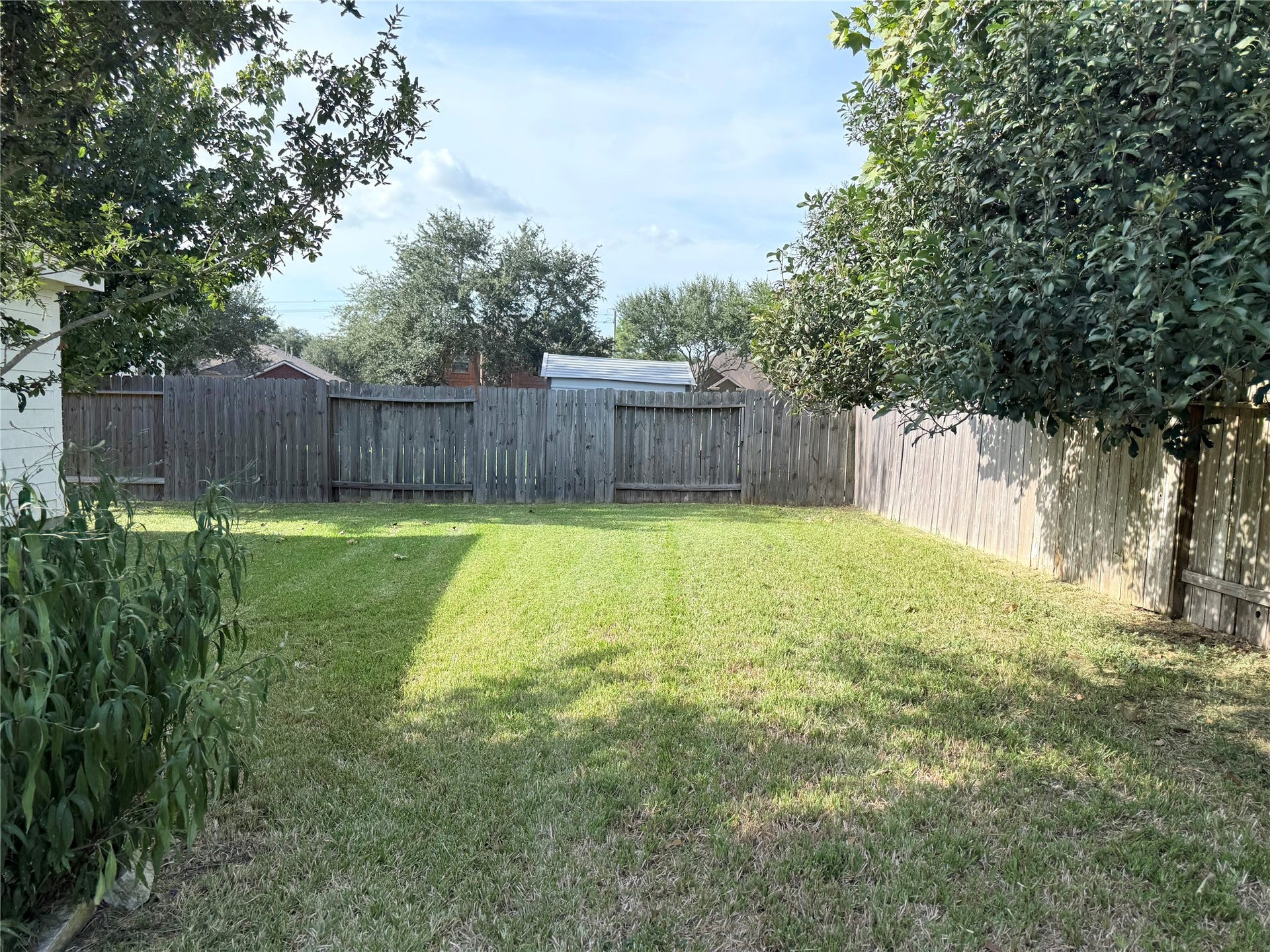 2104 Goldfinch Lane, League City, TX 77573 Spacious fenced backyard with lush green lawn and mature trees, perfect for outdoor activities and relaxation.