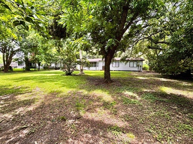 2419 Meadow Lane, La Marque, TX 77568 Spacious back yard. Fully fenced.