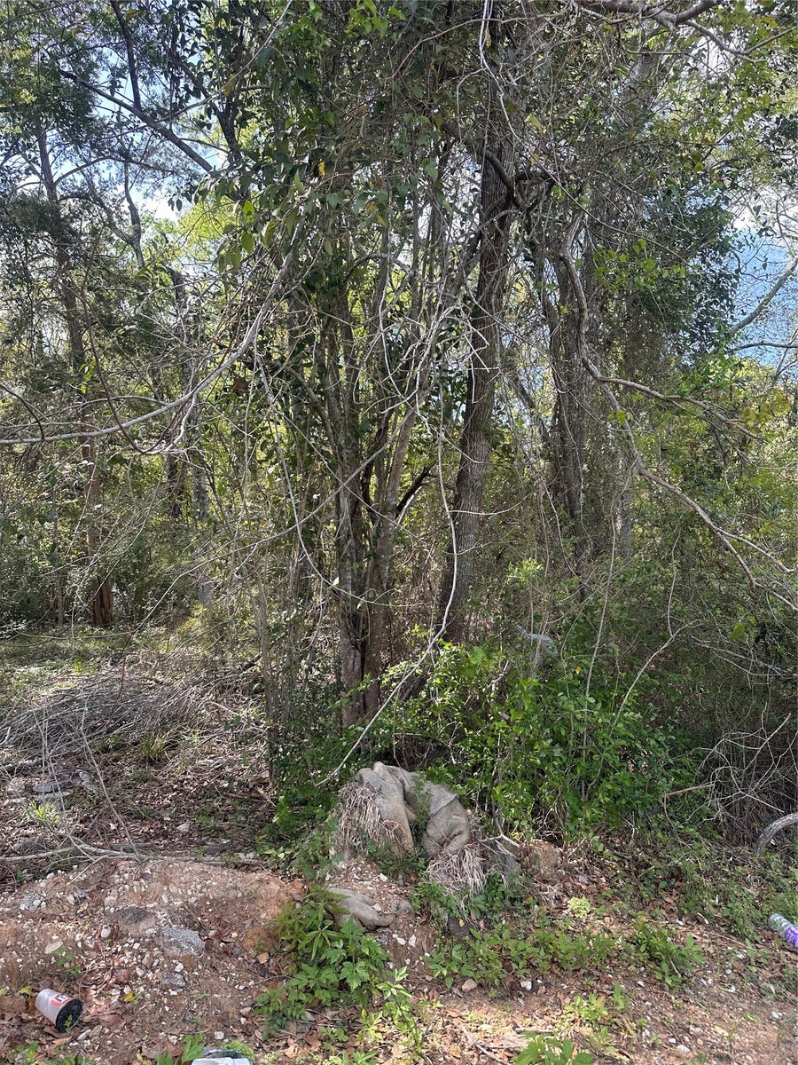 Property photo for 0 S 7th Street, Conroe, TX
