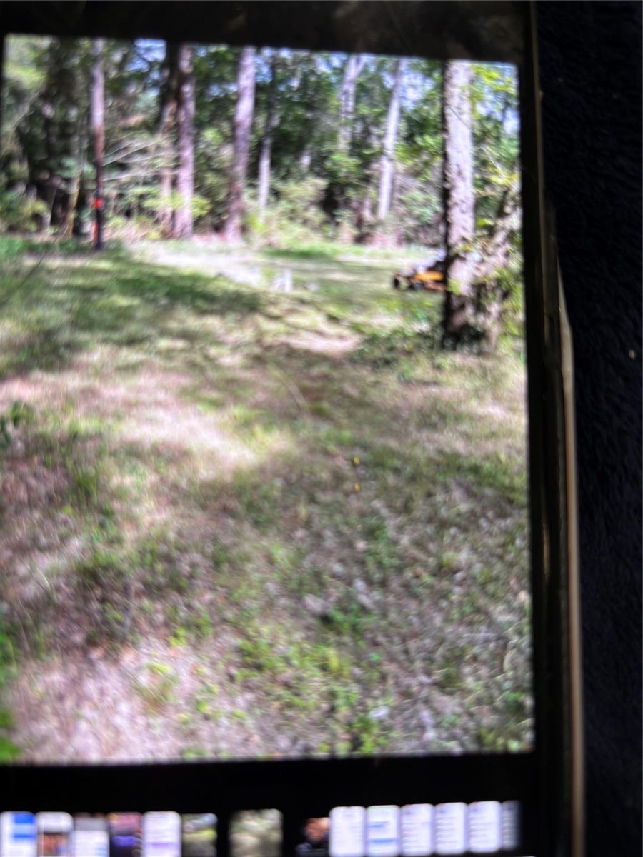 Property photo for 21319 Petty Drive, Conroe, TX