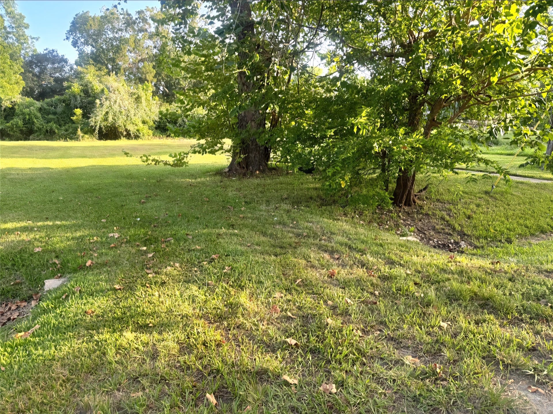 1421 W Lobitt Street, Alvin, TX 77511 1421 W Lobitt Street, Alvin, TX 77511