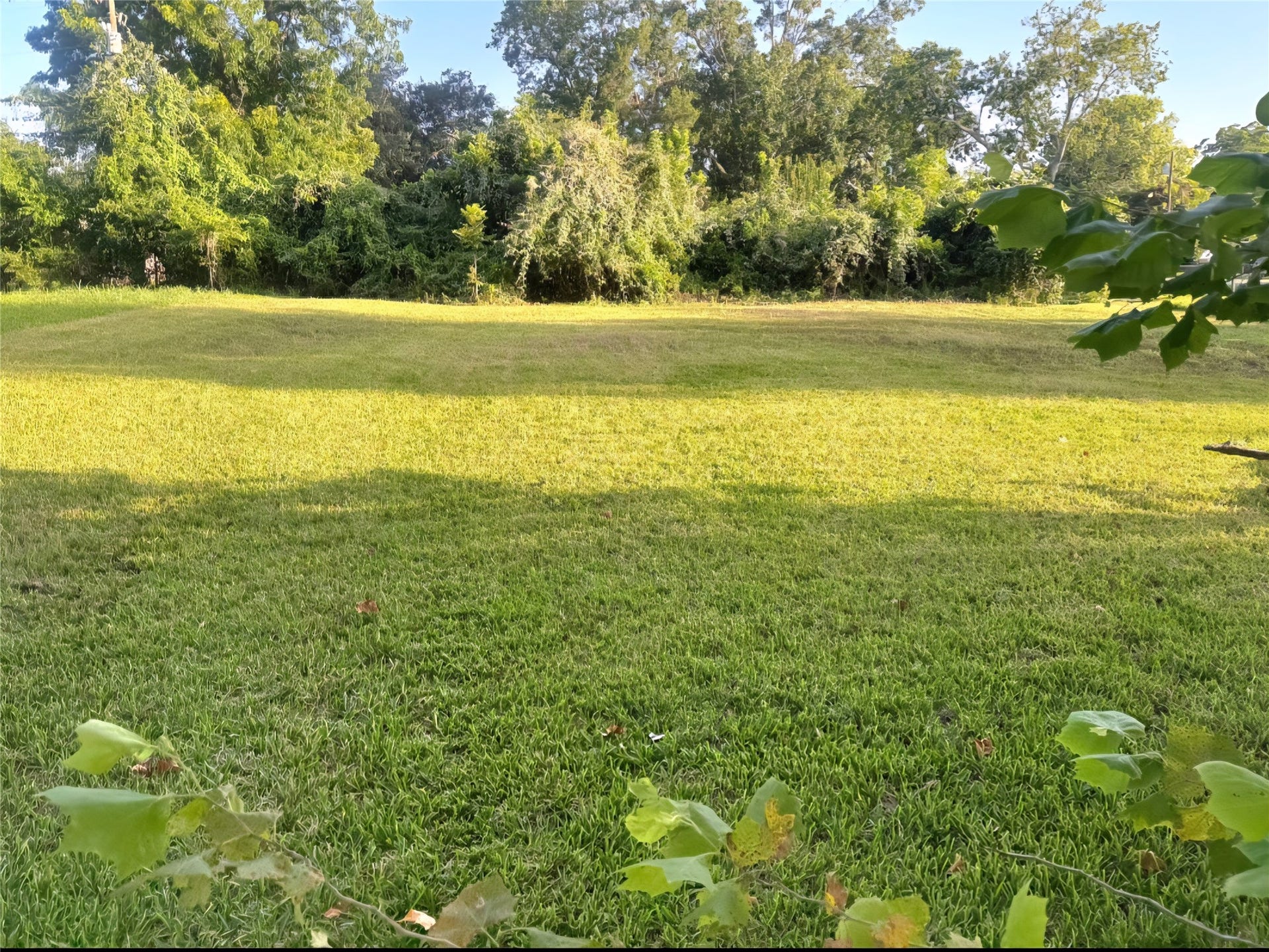 1421 W Lobitt Street, Alvin, TX 77511 1421 W Lobitt Street, Alvin, TX 77511