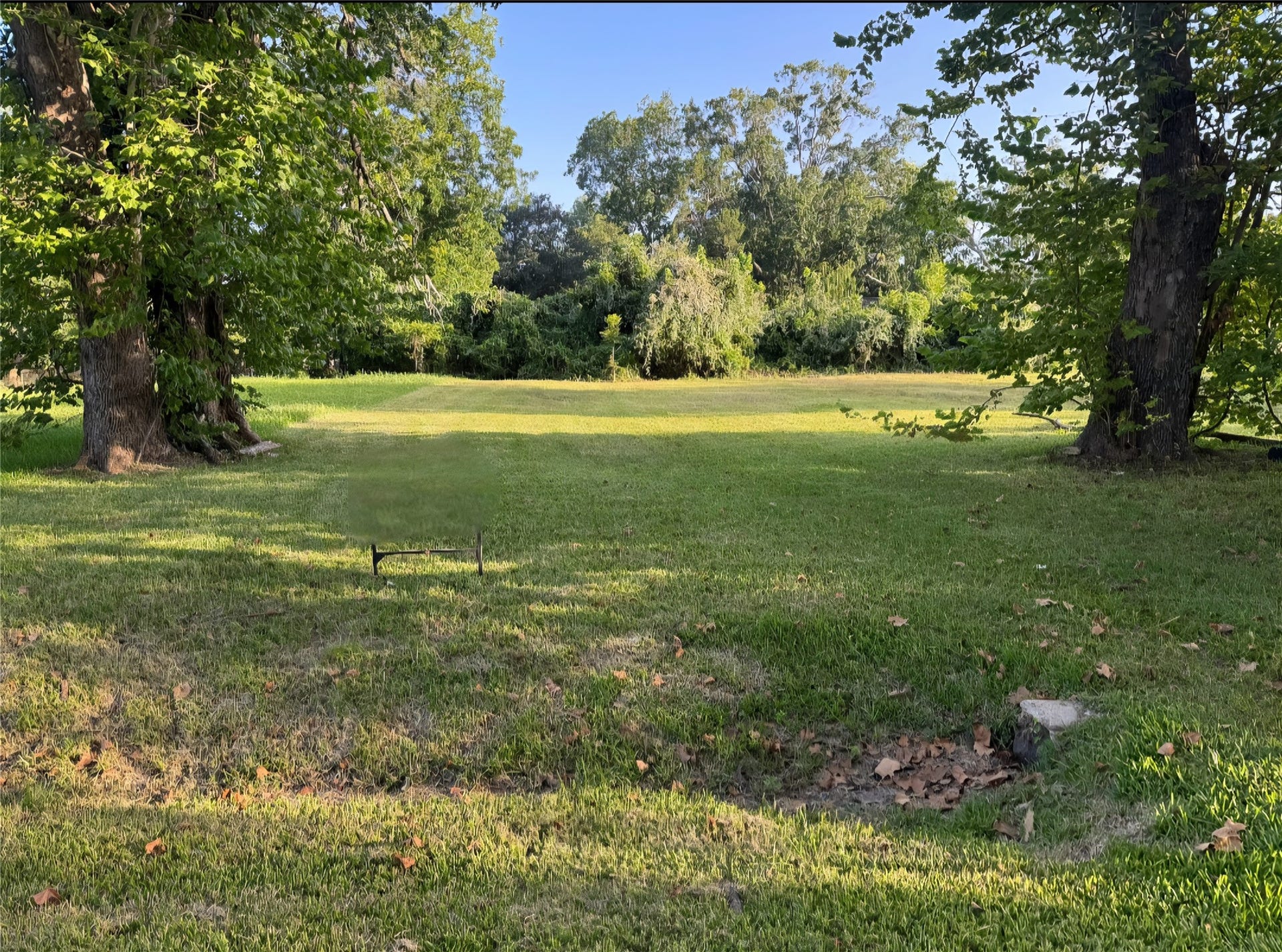 1421 W Lobitt Street, Alvin, TX 77511 1421 W Lobitt Street, Alvin, TX 77511