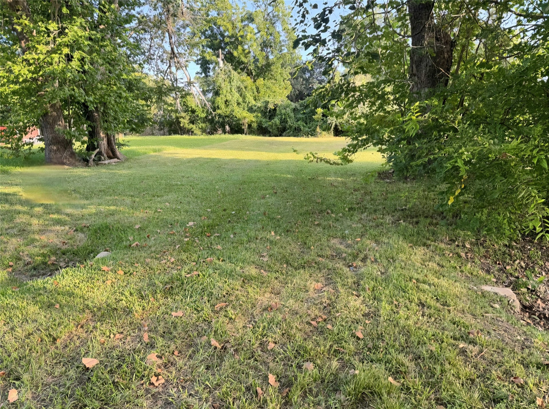 1421 W Lobitt Street, Alvin, TX 77511 1421 W Lobitt Street, Alvin, TX 77511