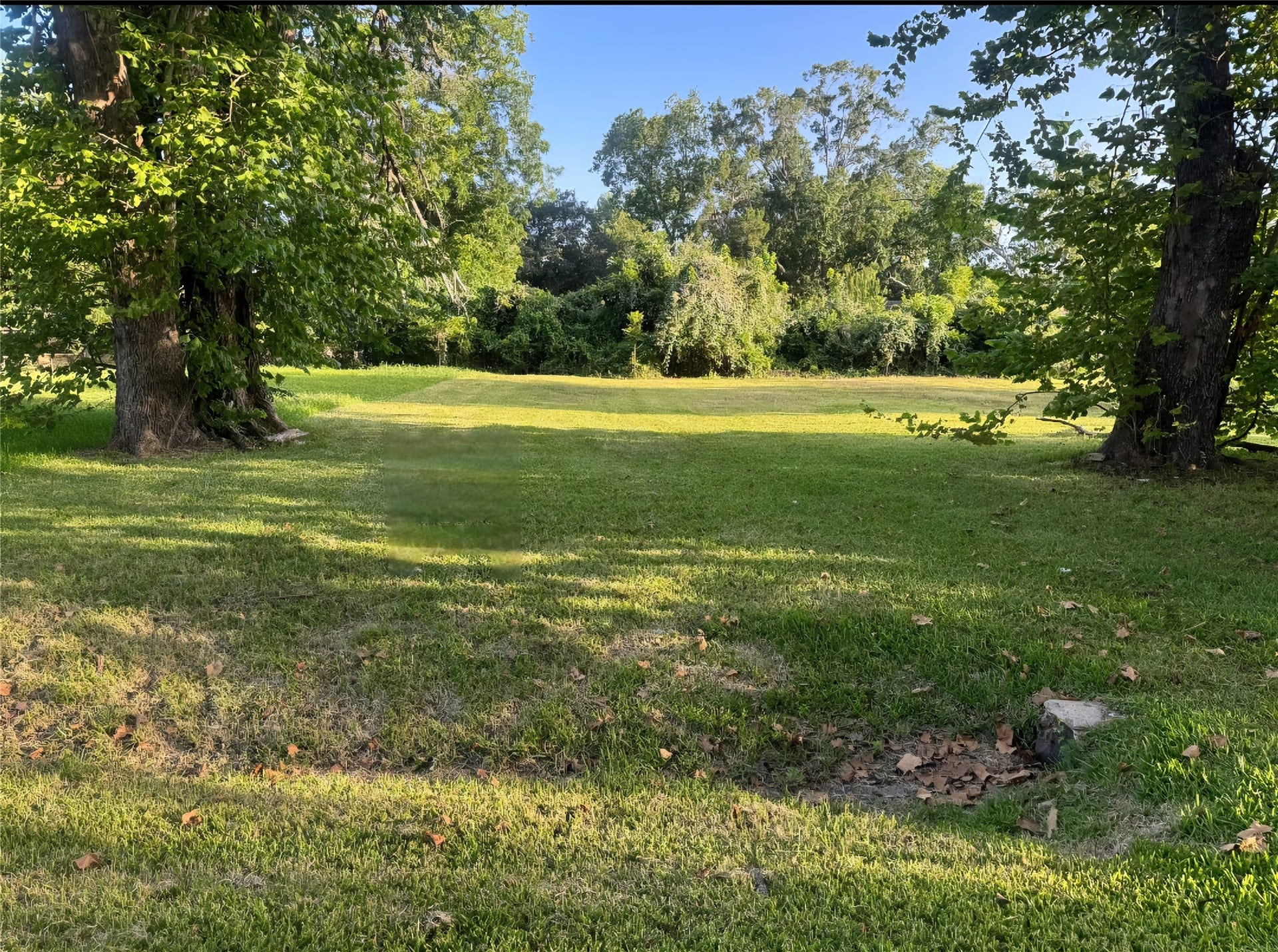 1421 W Lobitt Street, Alvin, TX 77511 1421 W Lobitt Street, Alvin, TX 77511