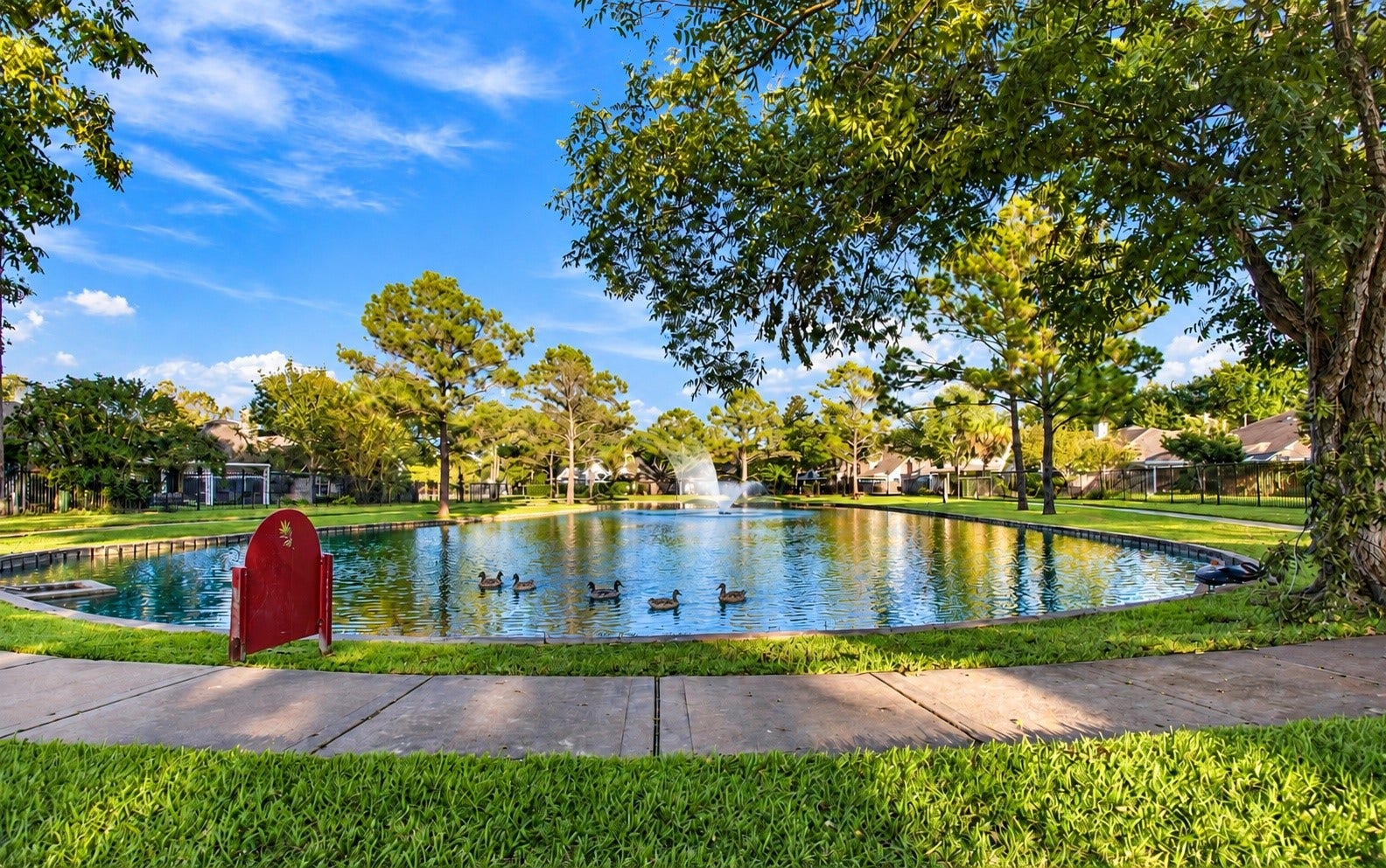 The hone is across the street from this duck pond!