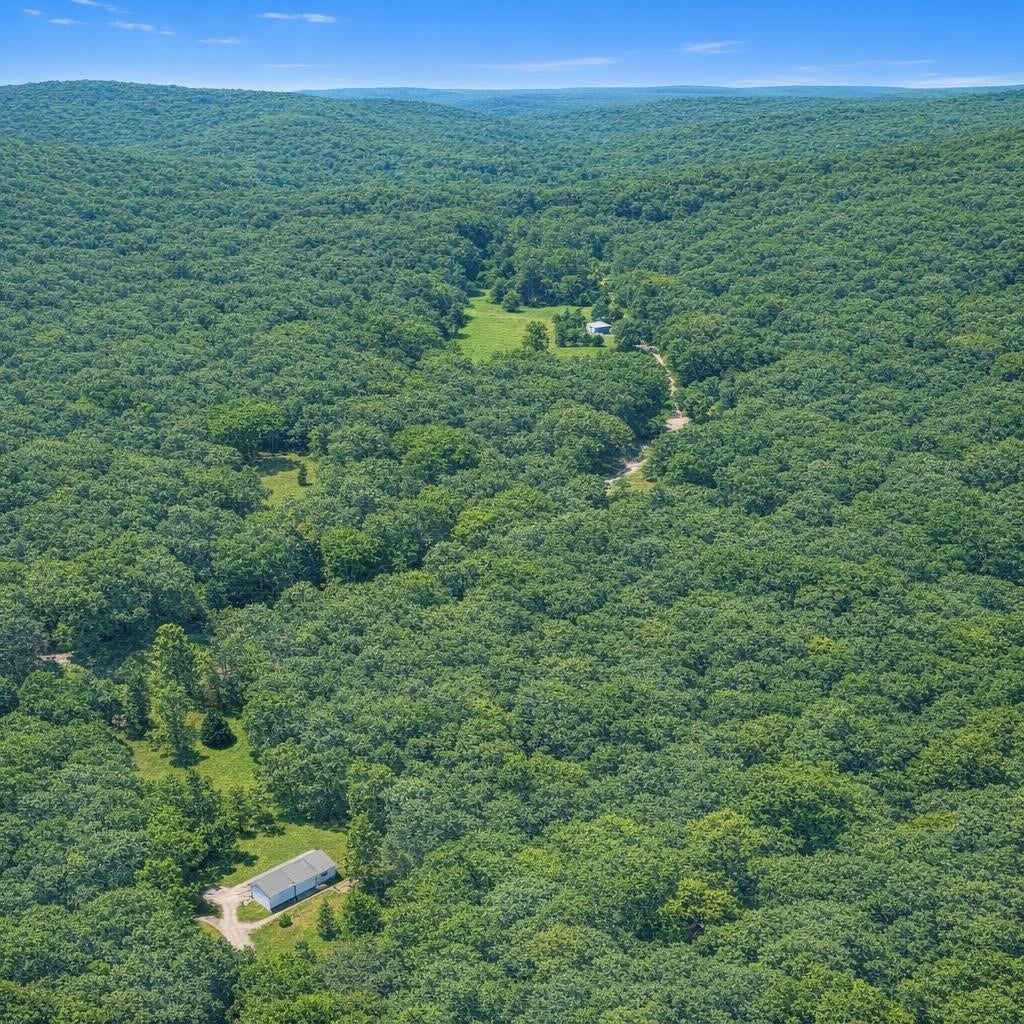 TBD 3 Acres Cardinal Drive, Magnolia, TX 77447 TBD 3 Acres Cardinal Drive, Magnolia, TX 77447