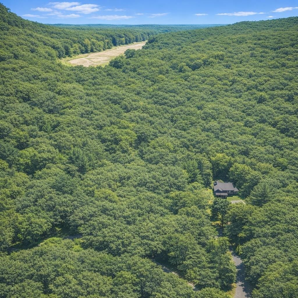 TBD 3 Acres Cardinal Drive, Magnolia, TX 77447 TBD 3 Acres Cardinal Drive, Magnolia, TX 77447