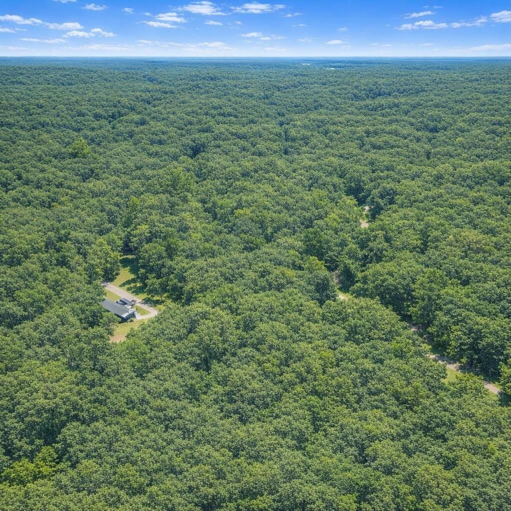 TBD 3 Acres Cardinal Drive, Magnolia, TX 77447 TBD 3 Acres Cardinal Drive, Magnolia, TX 77447