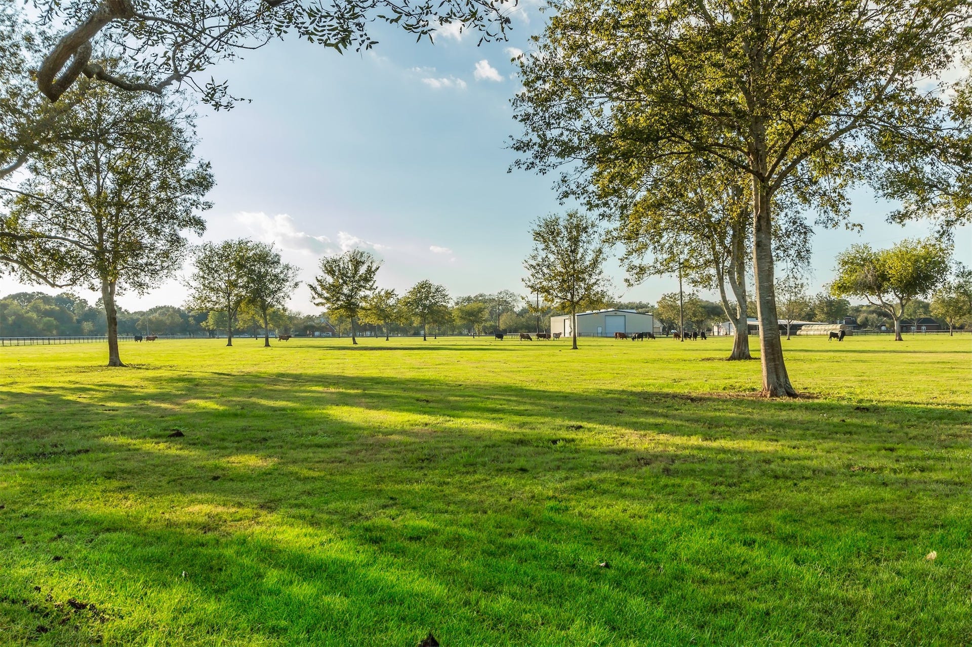 3150 Holmes Road Road, Richmond, TX 77406 Expansive, sunlit pasture perfect for serene countryside living.