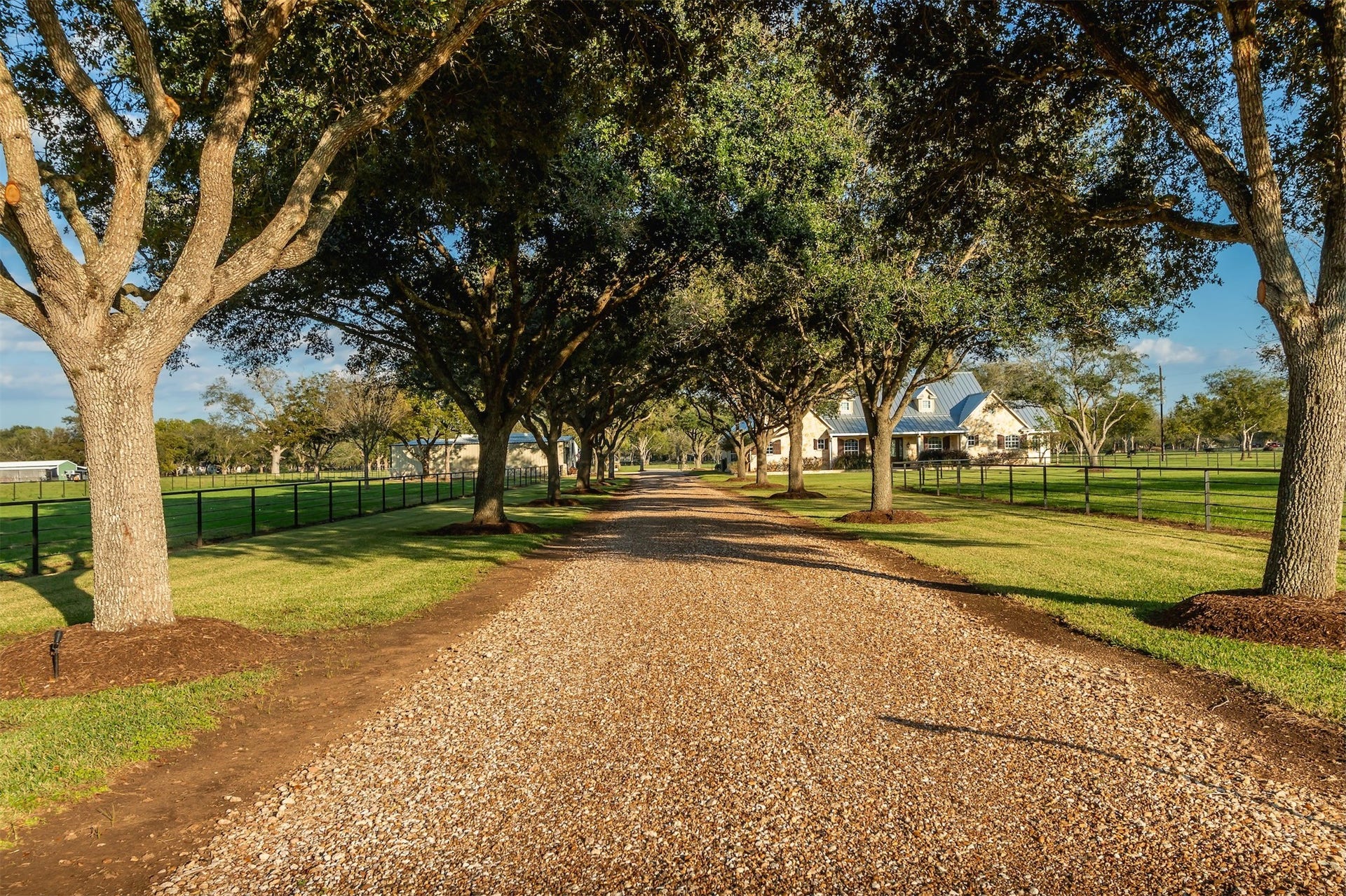 3150 Holmes Road Road, Richmond, TX 77406 Charming driveway lined with majestic oaks and stabilized rock, offering a picturesque and welcoming entrance.