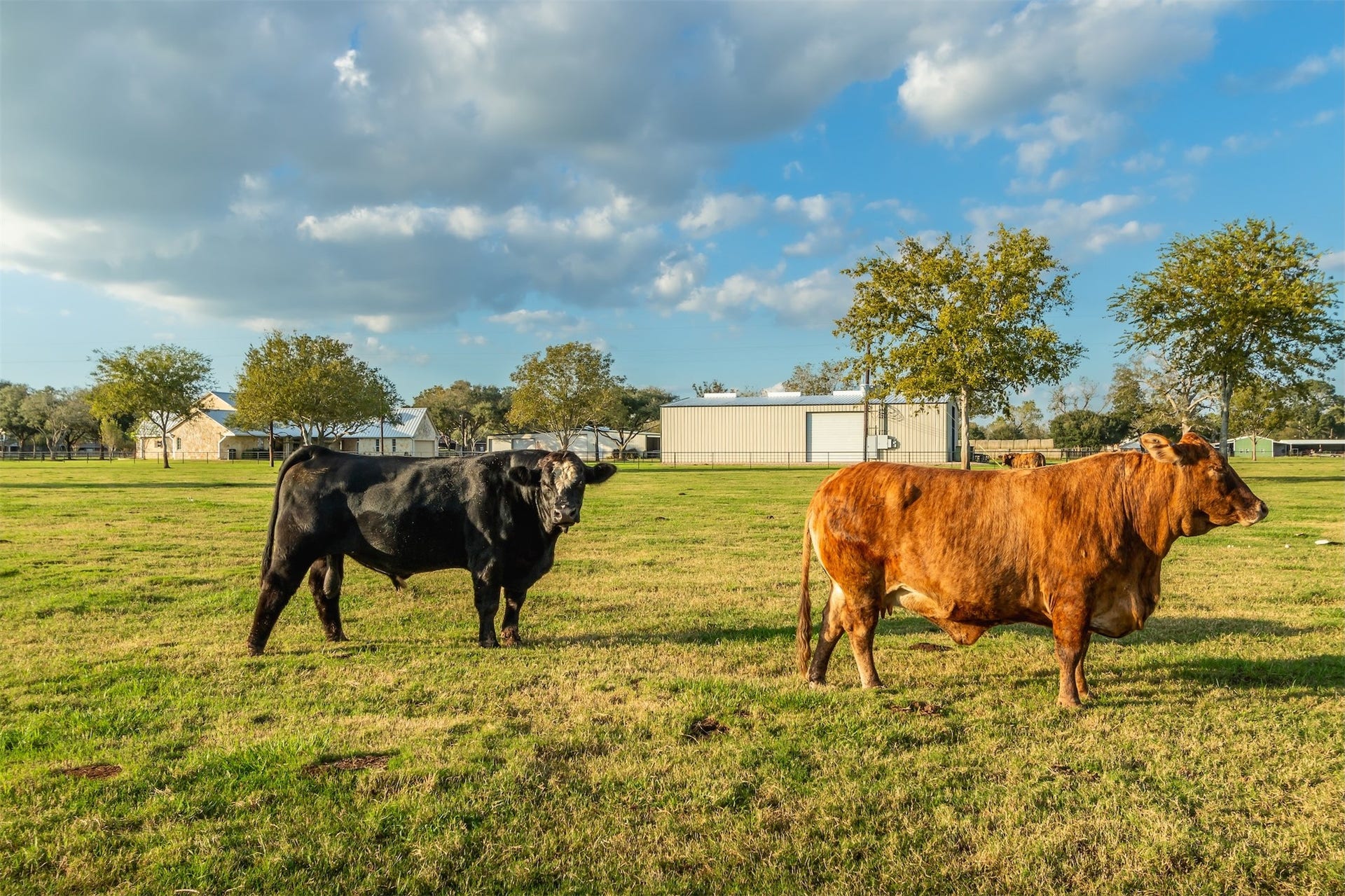 3150 Holmes Road Road, Richmond, TX 77406 Expansive pastureland ready for livestock, complete with serene countryside views and ample space for farming opportunities.
