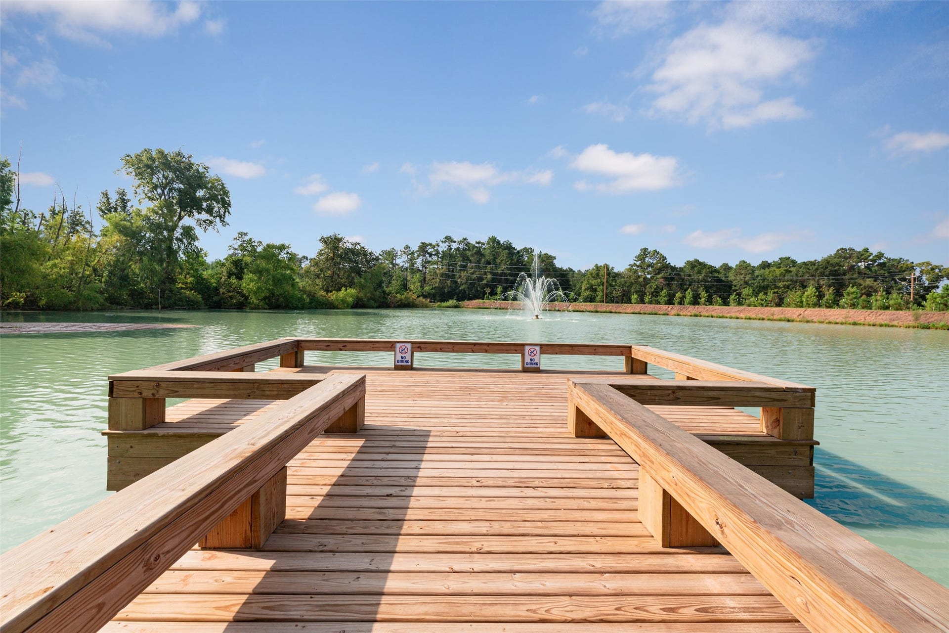 9206 Crestone Peak Drive, Willis, TX 77318 9206 Crestone Peak Drive, Willis, TX 77318