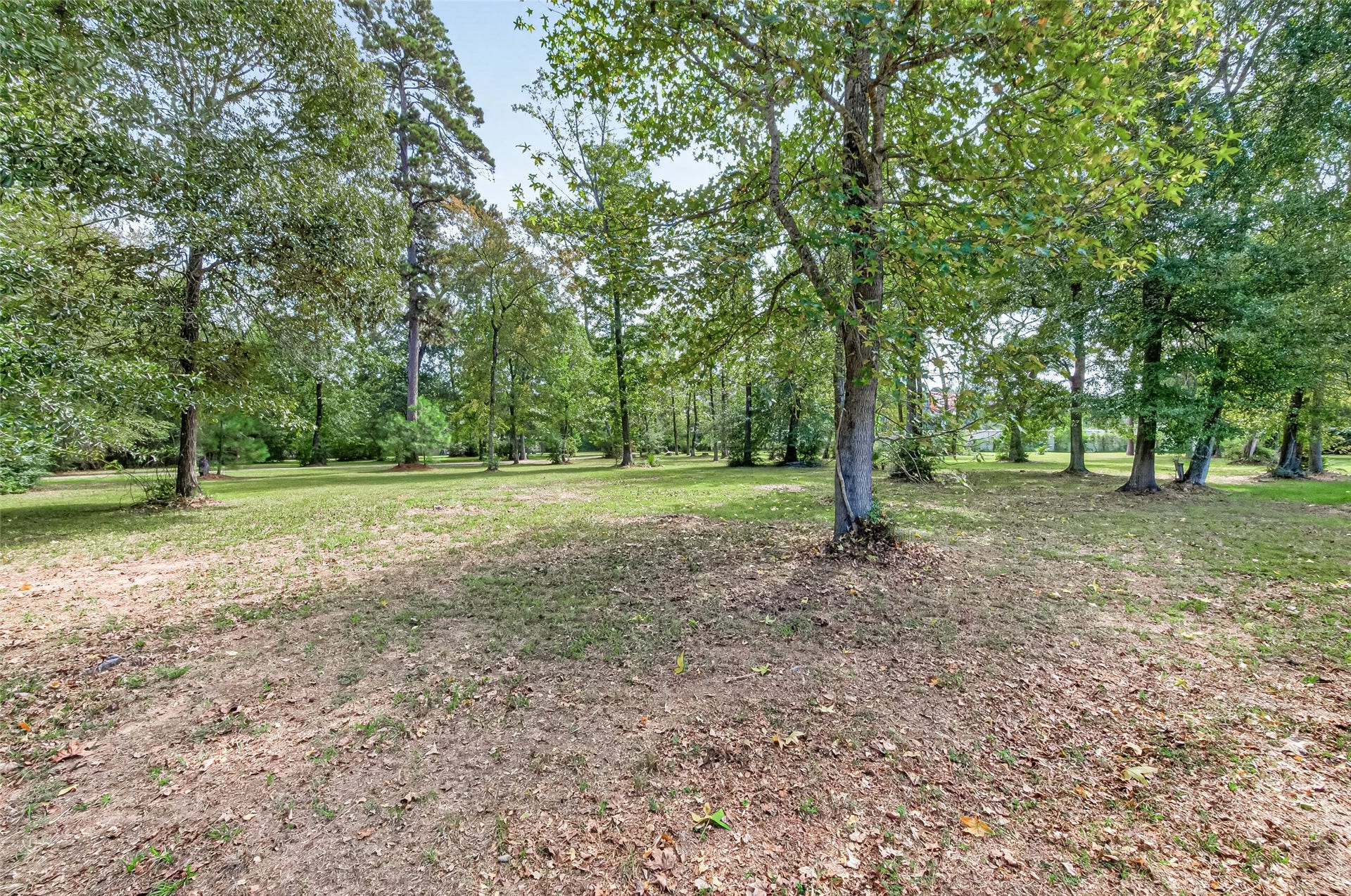 15257 N Saddlewood Drive, Conroe, TX 77384