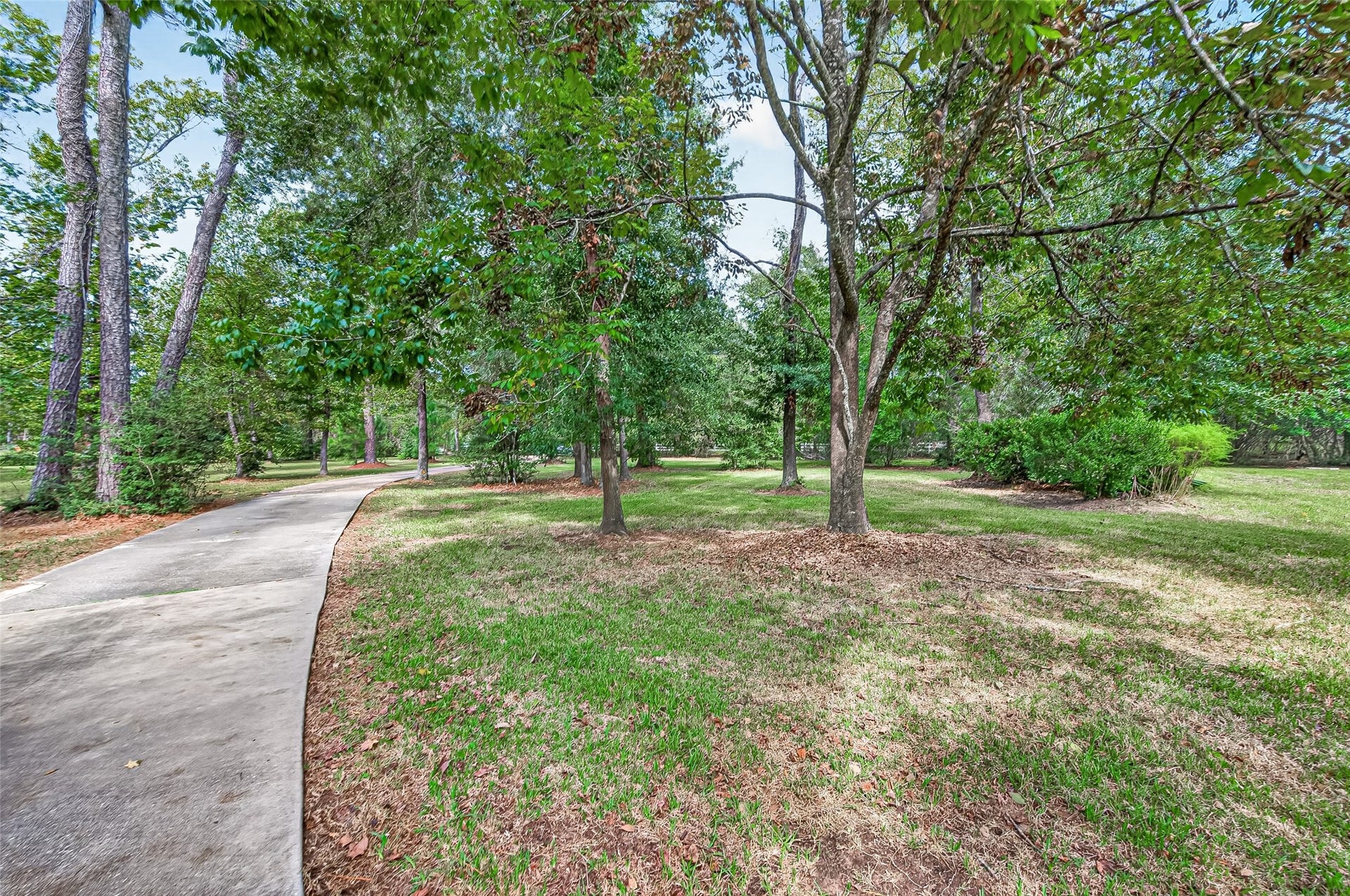 15257 N Saddlewood Drive, Conroe, TX 77384
