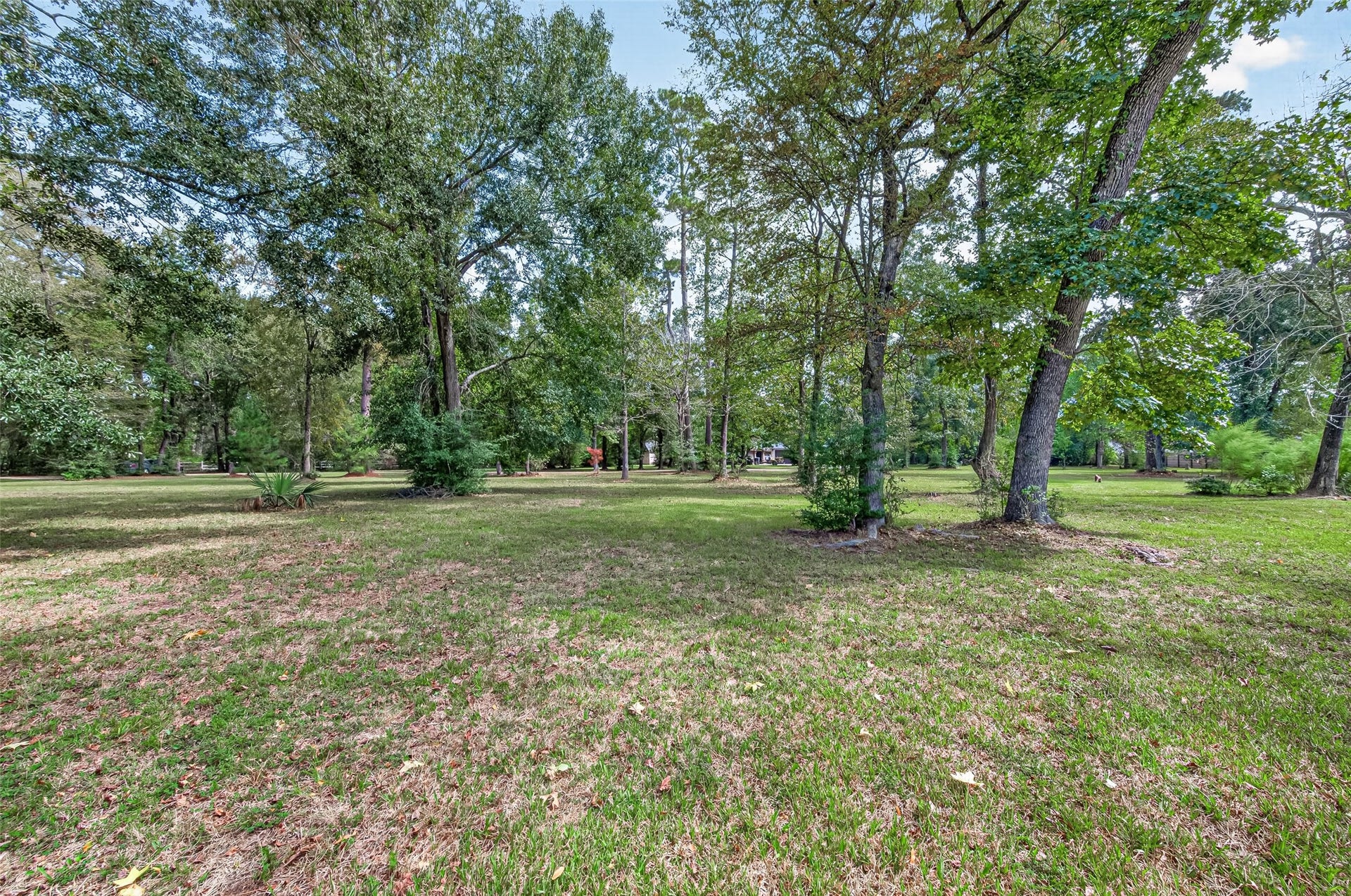 15257 N Saddlewood Drive, Conroe, TX 77384